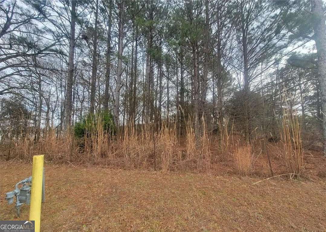 2025 Highway 138 NE Conyers GA 30013