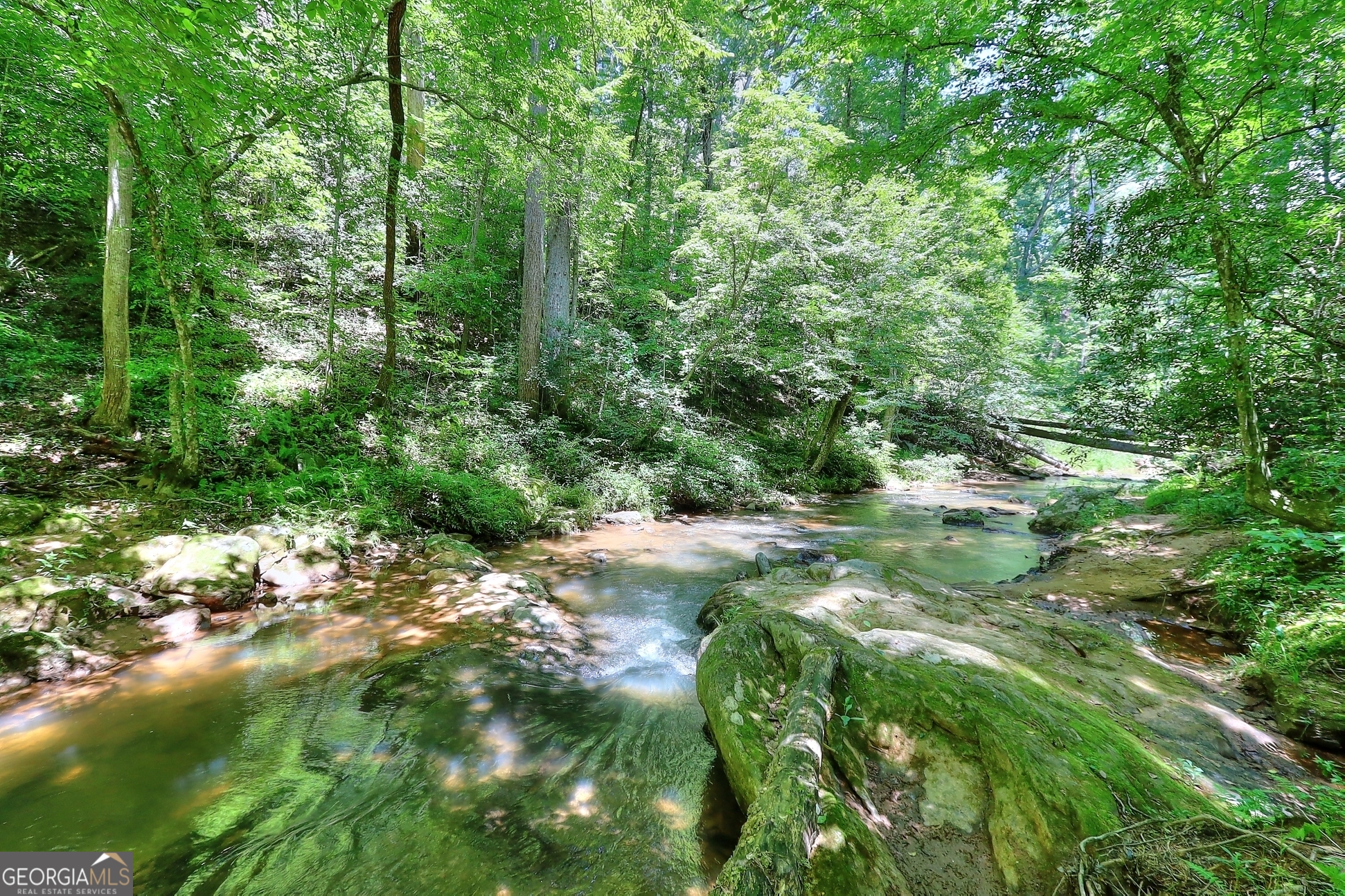 95 Cedar Hollow Road Cleveland GA 30528