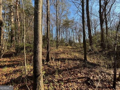 0 W Kytle Street Cleveland GA 30528