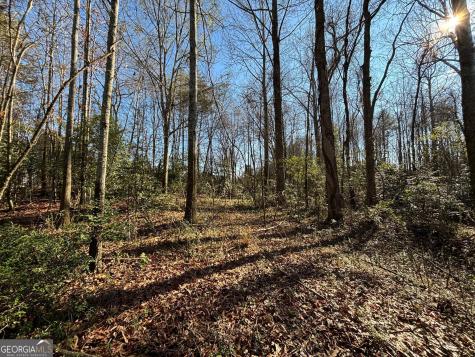 0 W Kytle Street Cleveland GA 30528