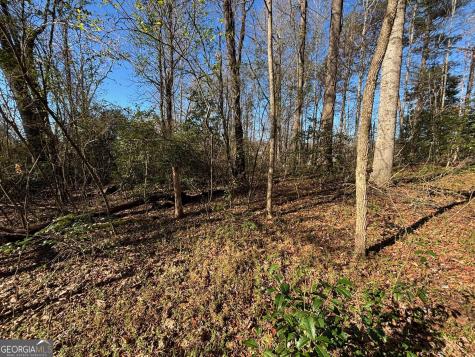 0 W Kytle Street Cleveland GA 30528
