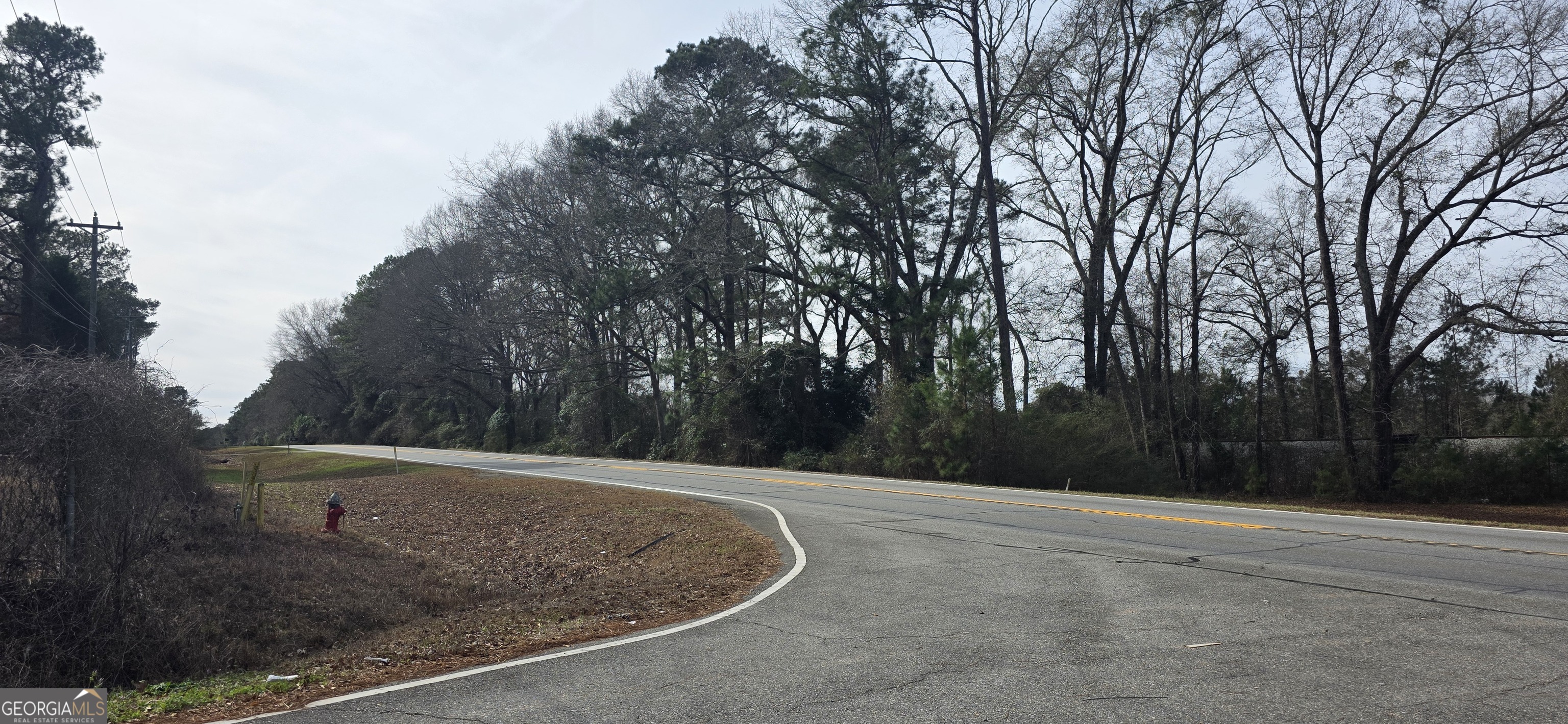 0 Highway 247 Kathleen GA 31047