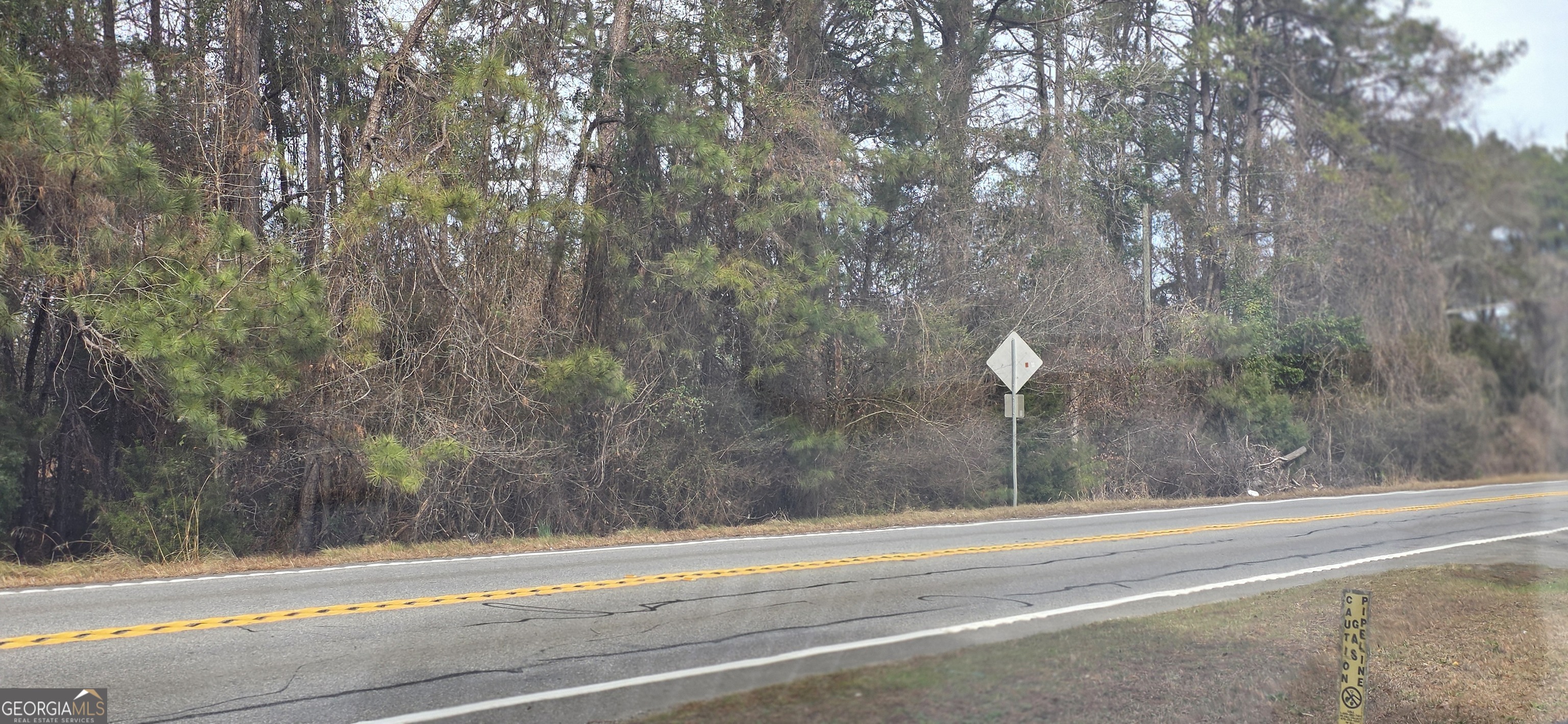 0 Highway 247 Kathleen GA 31047