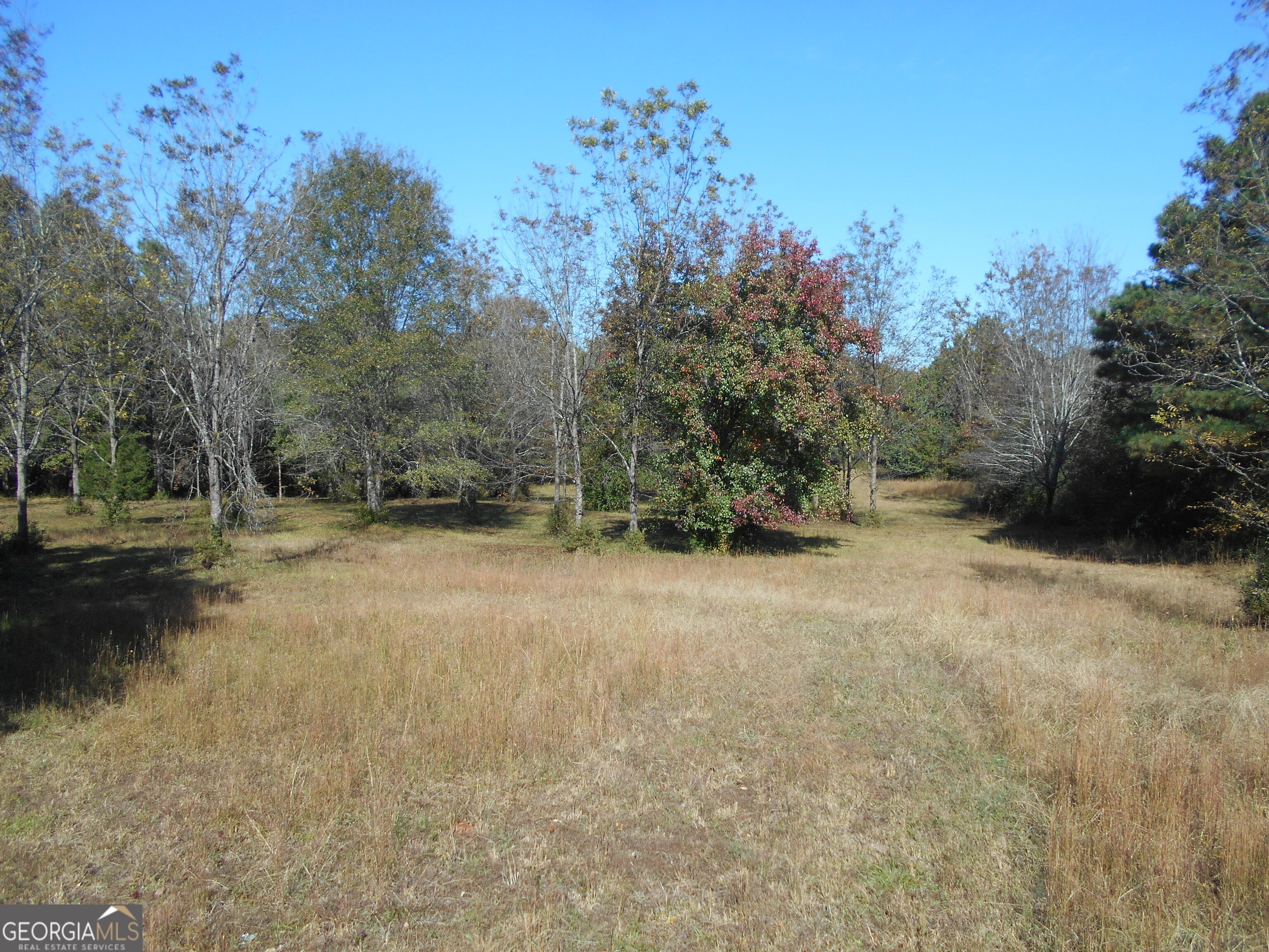 1230 Good Hope Road Monroe GA 30655