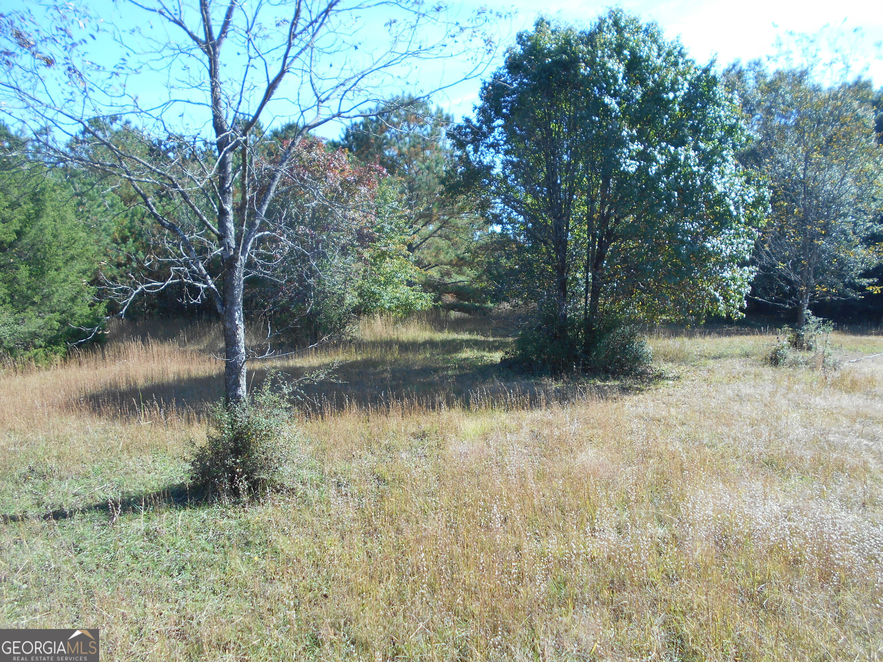 1230 Good Hope Road Monroe GA 30655