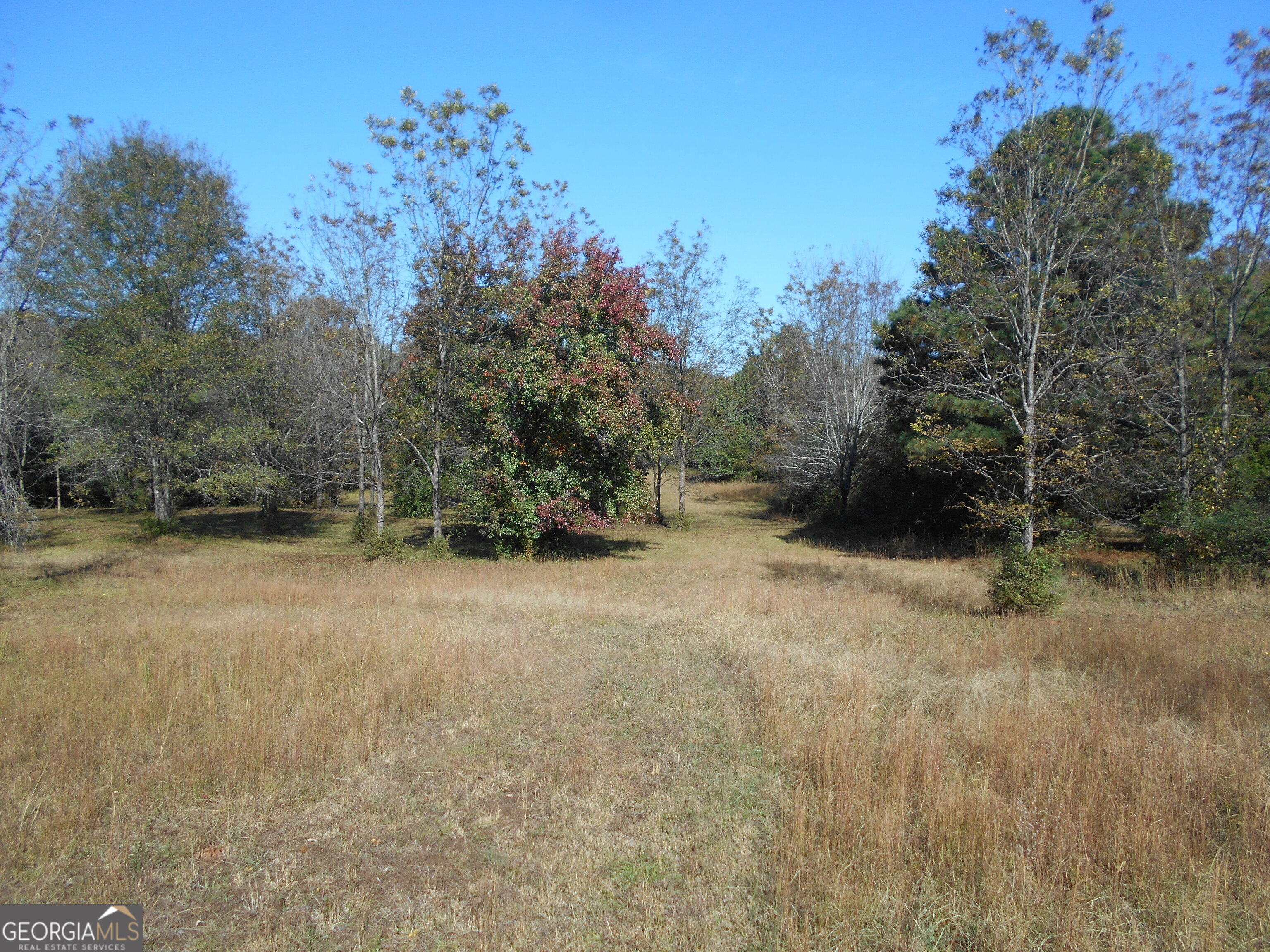 1230 Good Hope Road Monroe GA 30655
