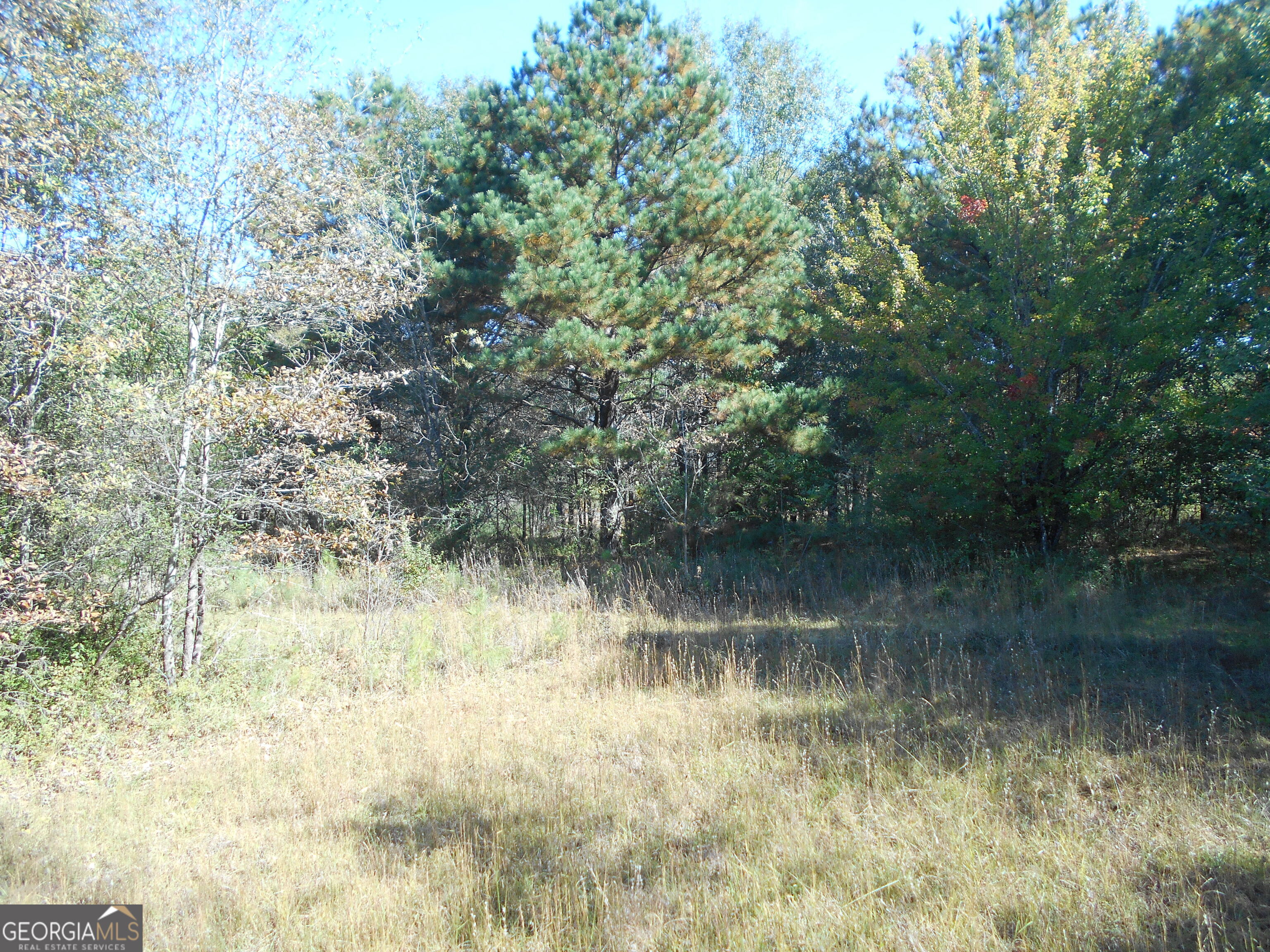 1230 Good Hope Road Monroe GA 30655