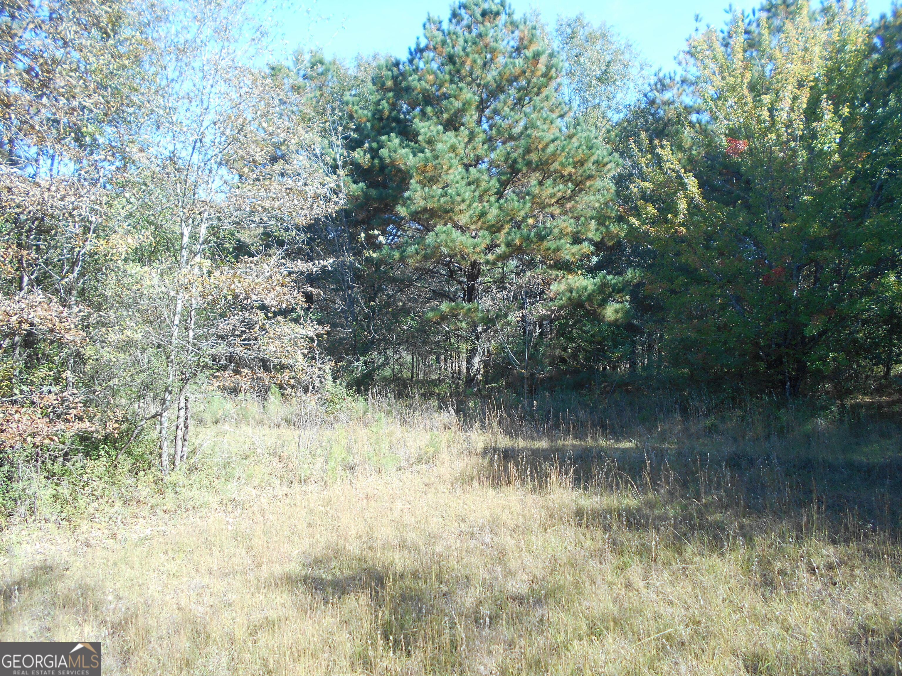1230 Good Hope Road Monroe GA 30655