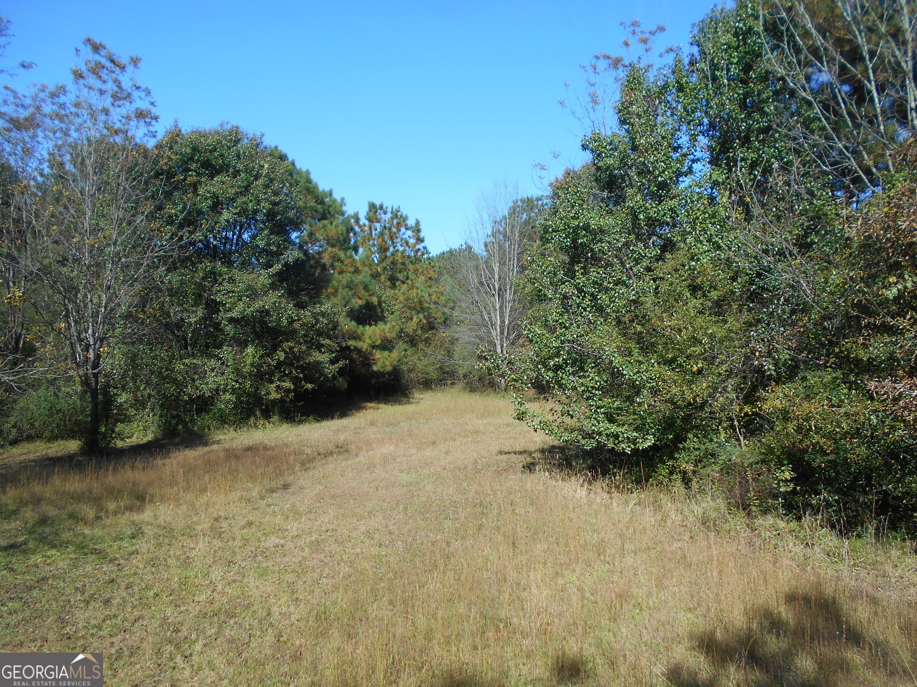 1230 Good Hope Road Monroe GA 30655