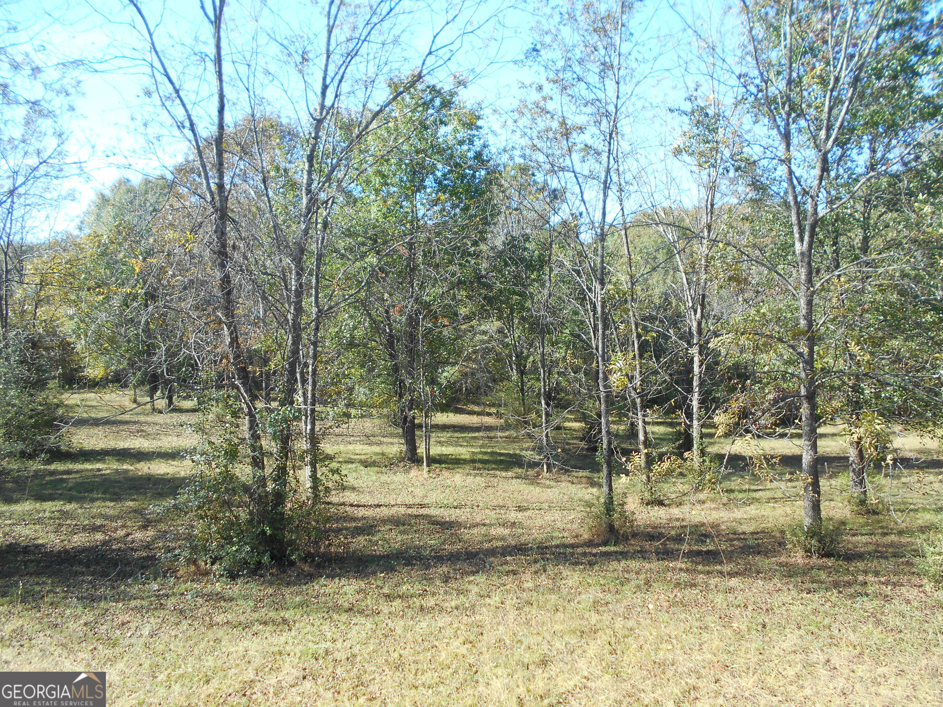 1230 Good Hope Road Monroe GA 30655
