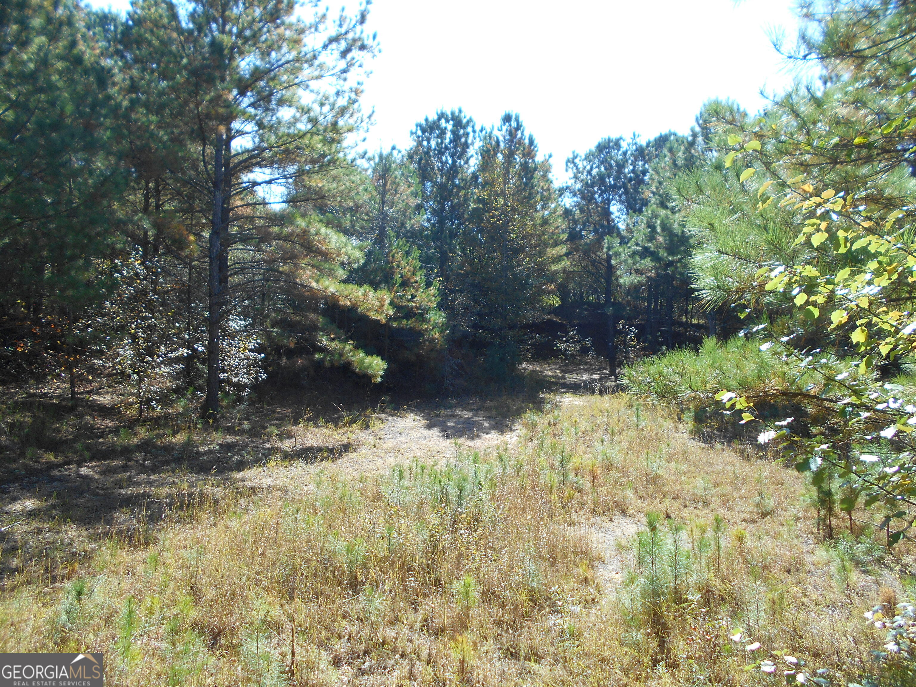 1230 Good Hope Road Monroe GA 30655