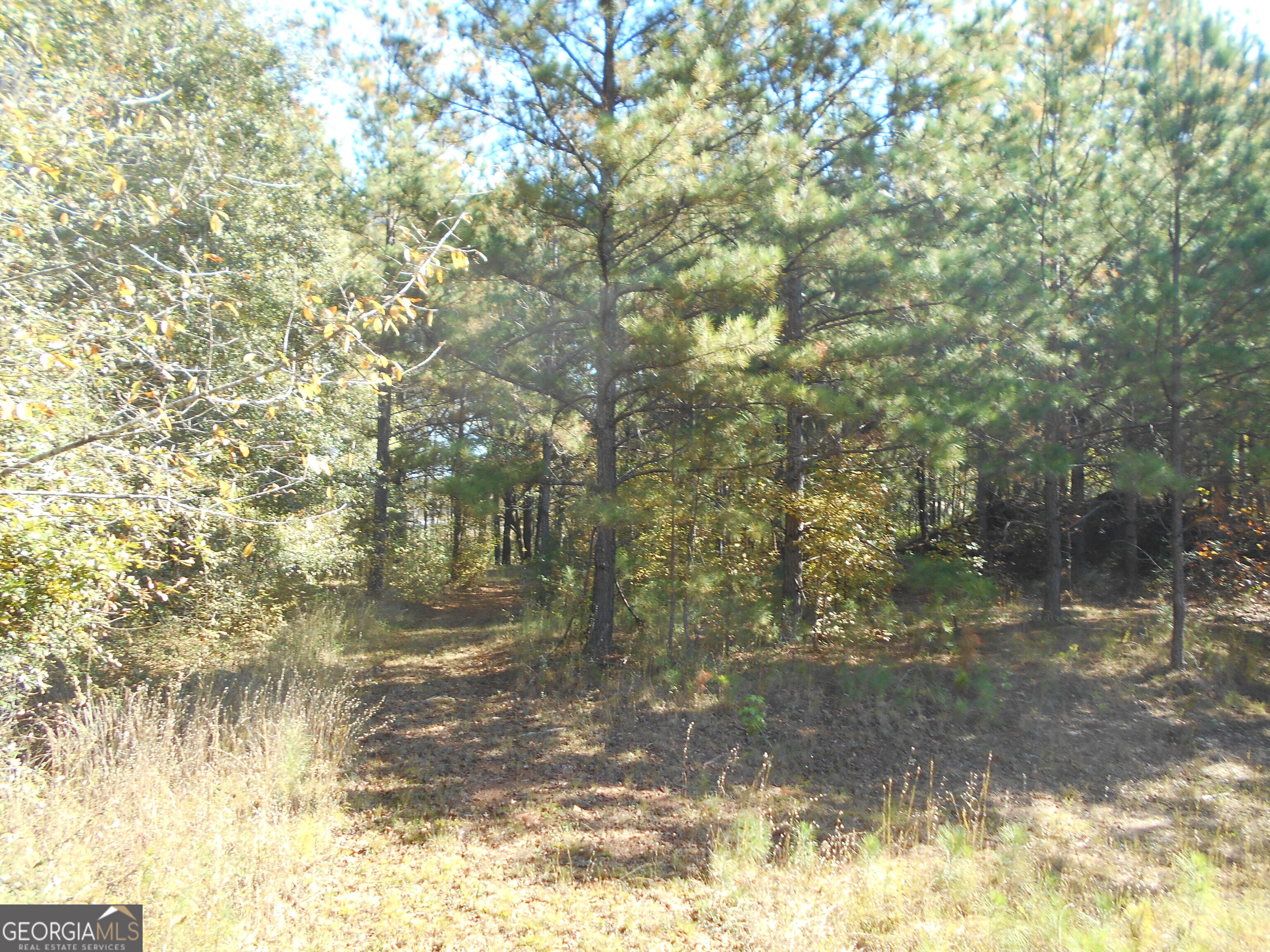 1230 Good Hope Road Monroe GA 30655