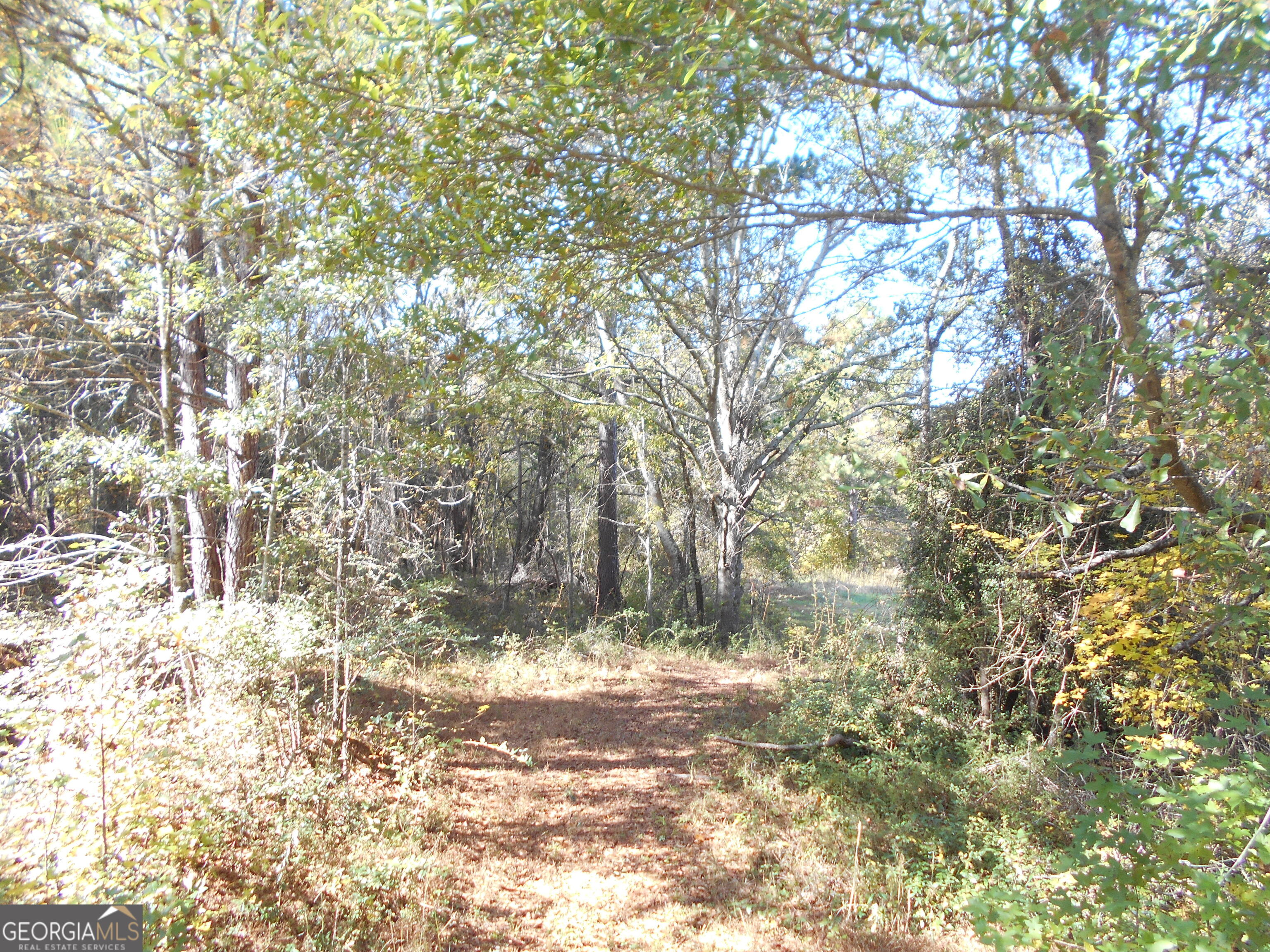 1230 Good Hope Road Monroe GA 30655