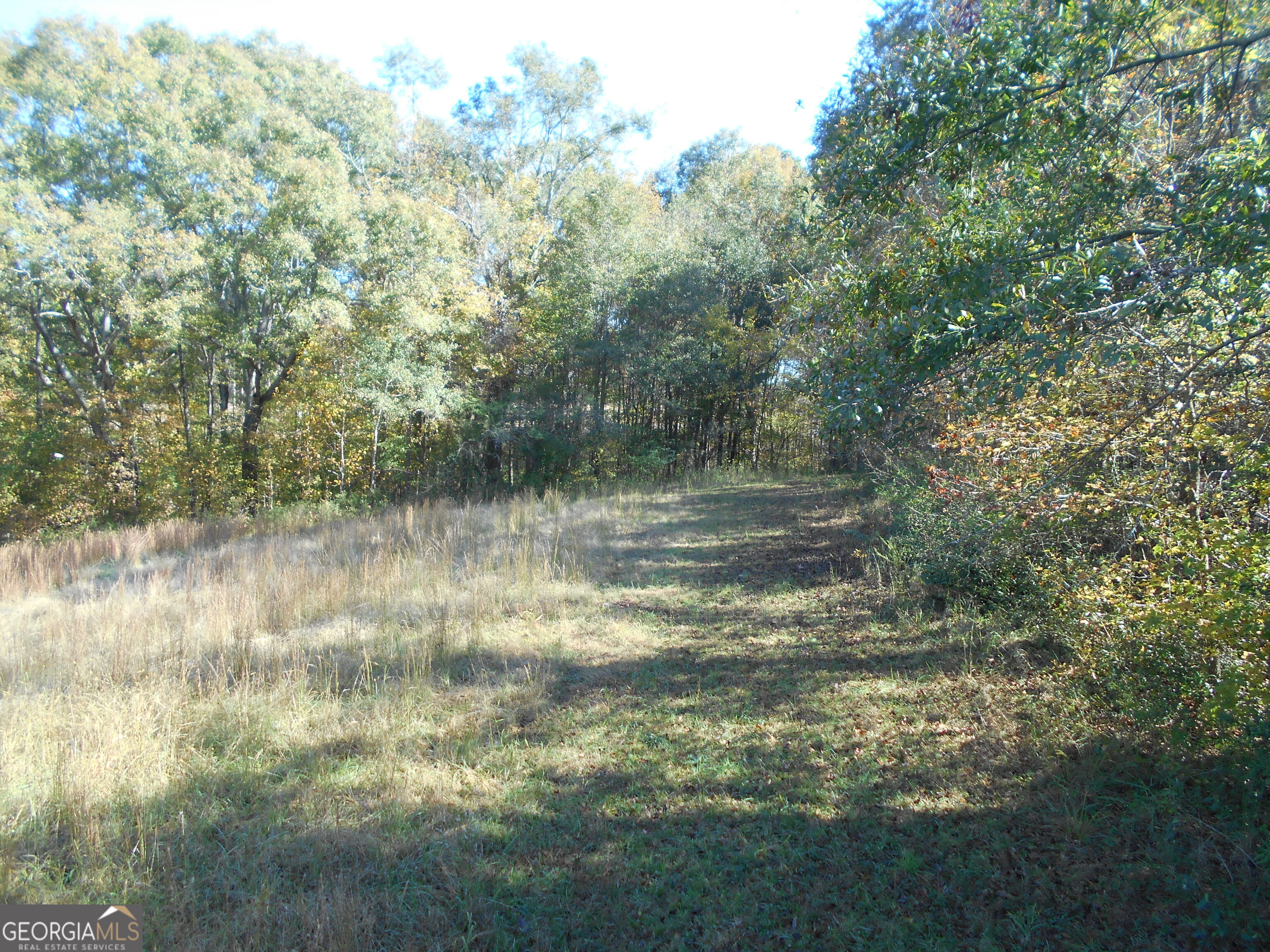 1230 Good Hope Road Monroe GA 30655