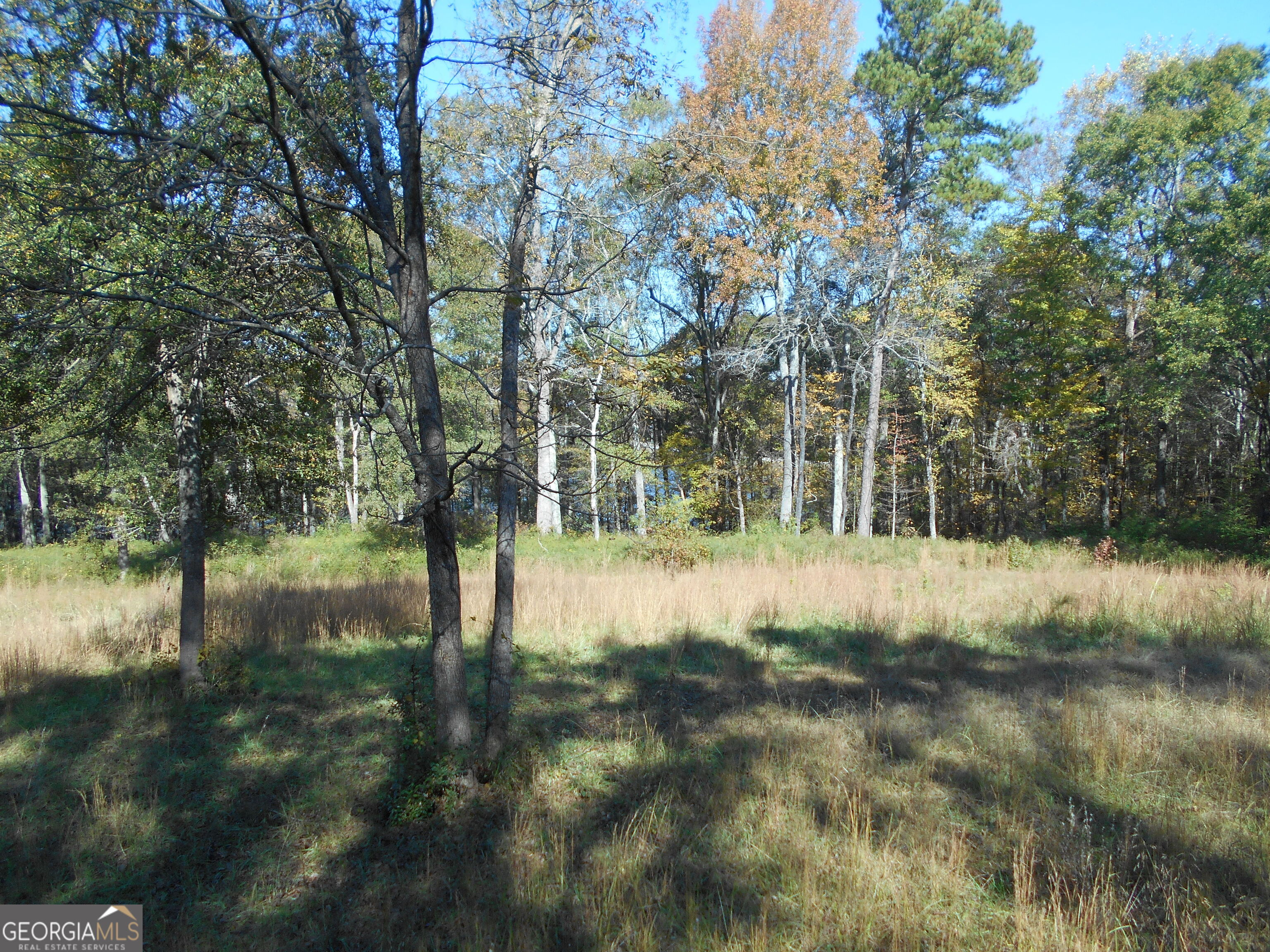 1230 Good Hope Road Monroe GA 30655