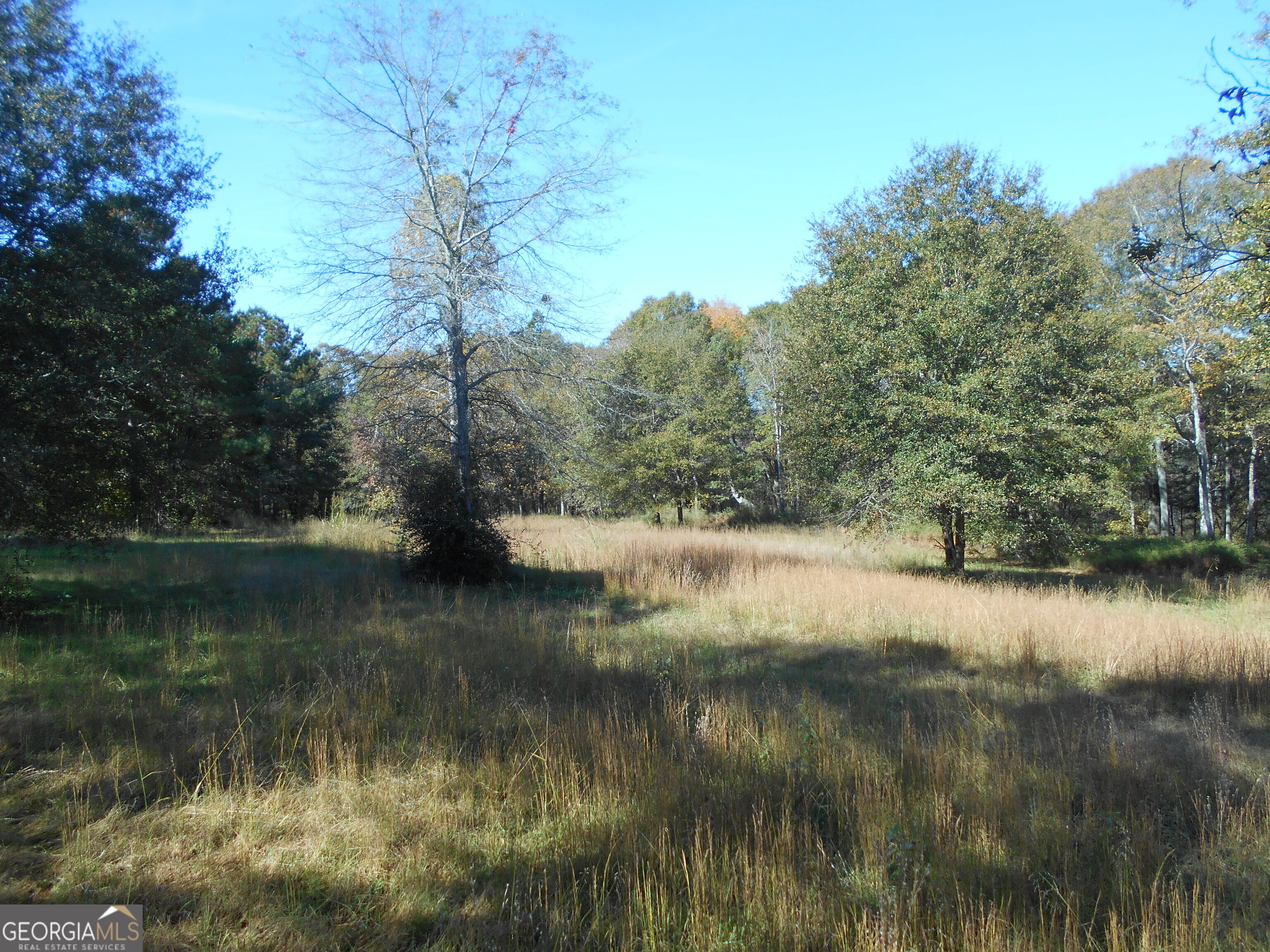 1230 Good Hope Road Monroe GA 30655