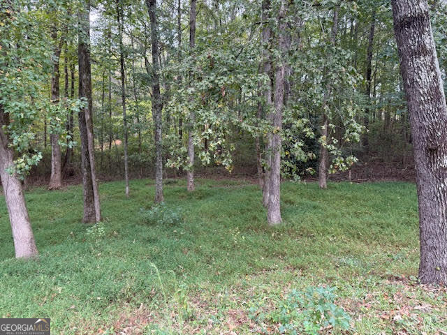 5030 East Lake Parkway Mcdonough GA 30253
