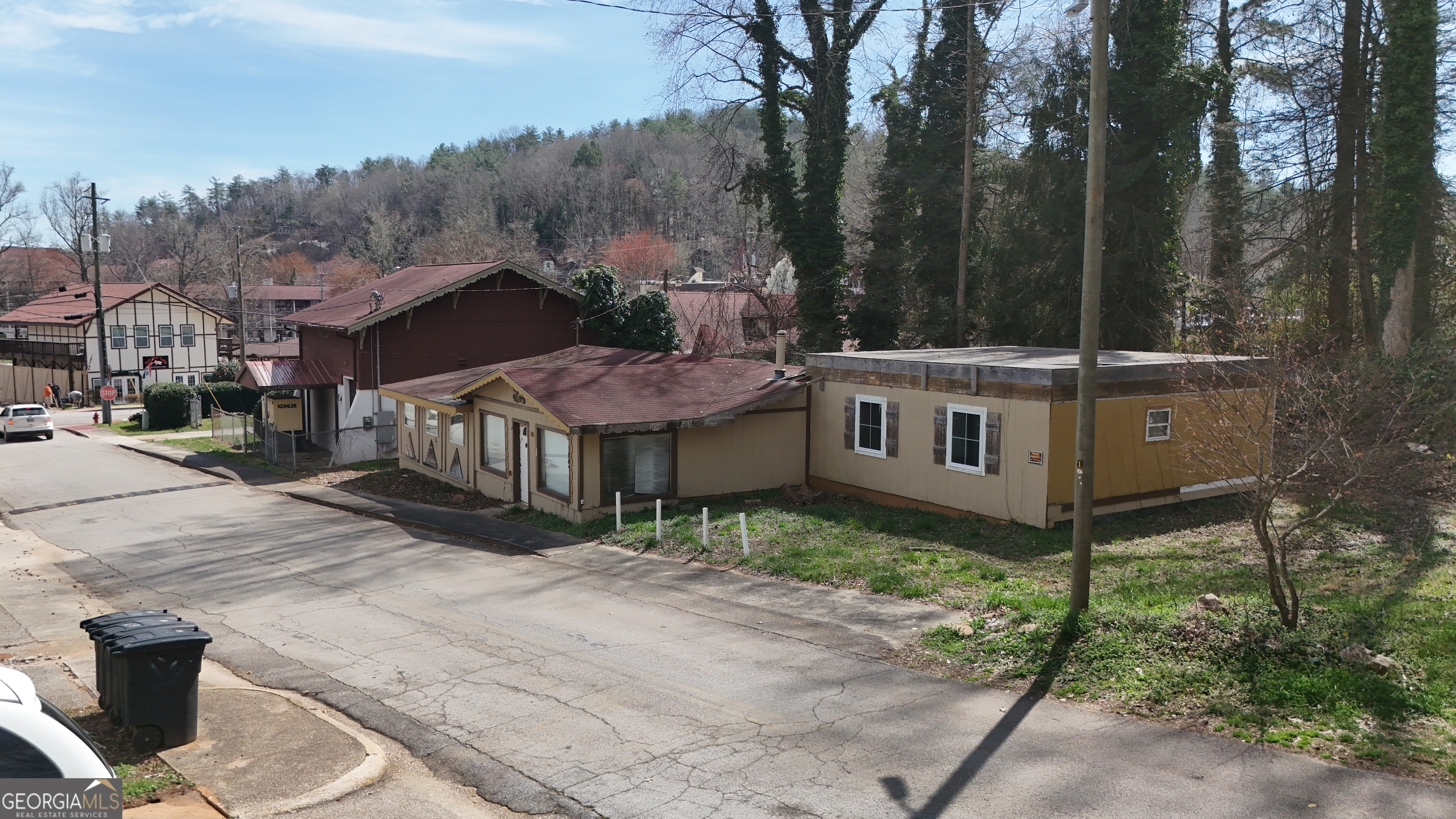 31 Petes Park Road Helen GA 30545