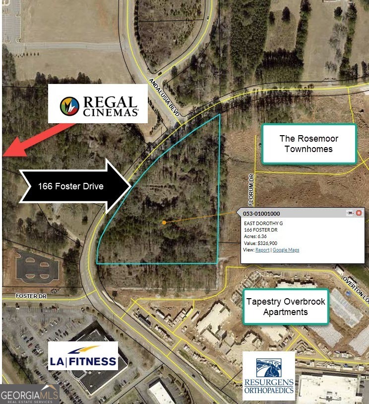 166 Foster Drive Mcdonough GA 30253