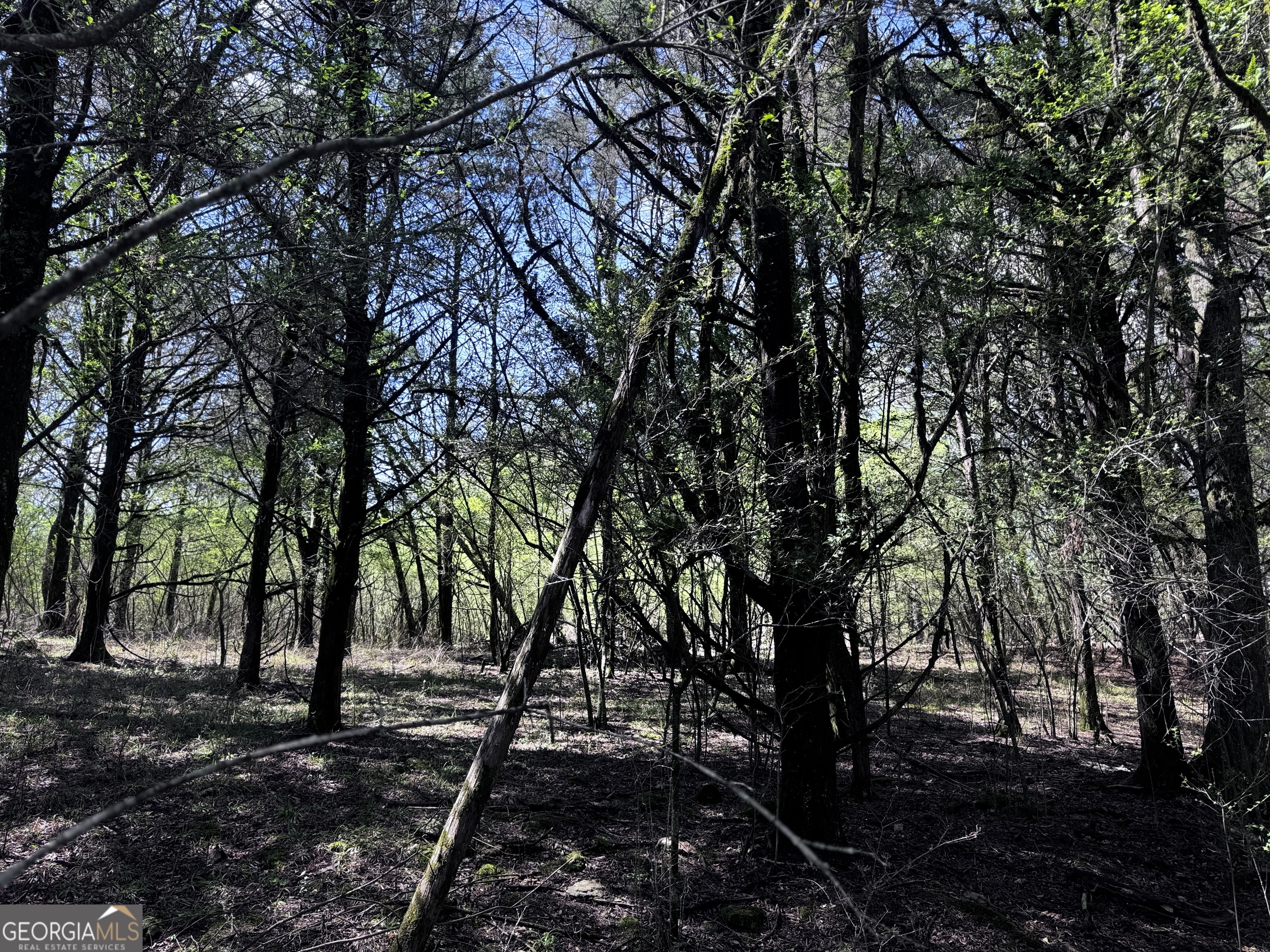 2782 Smith Road Fortson GA 31808