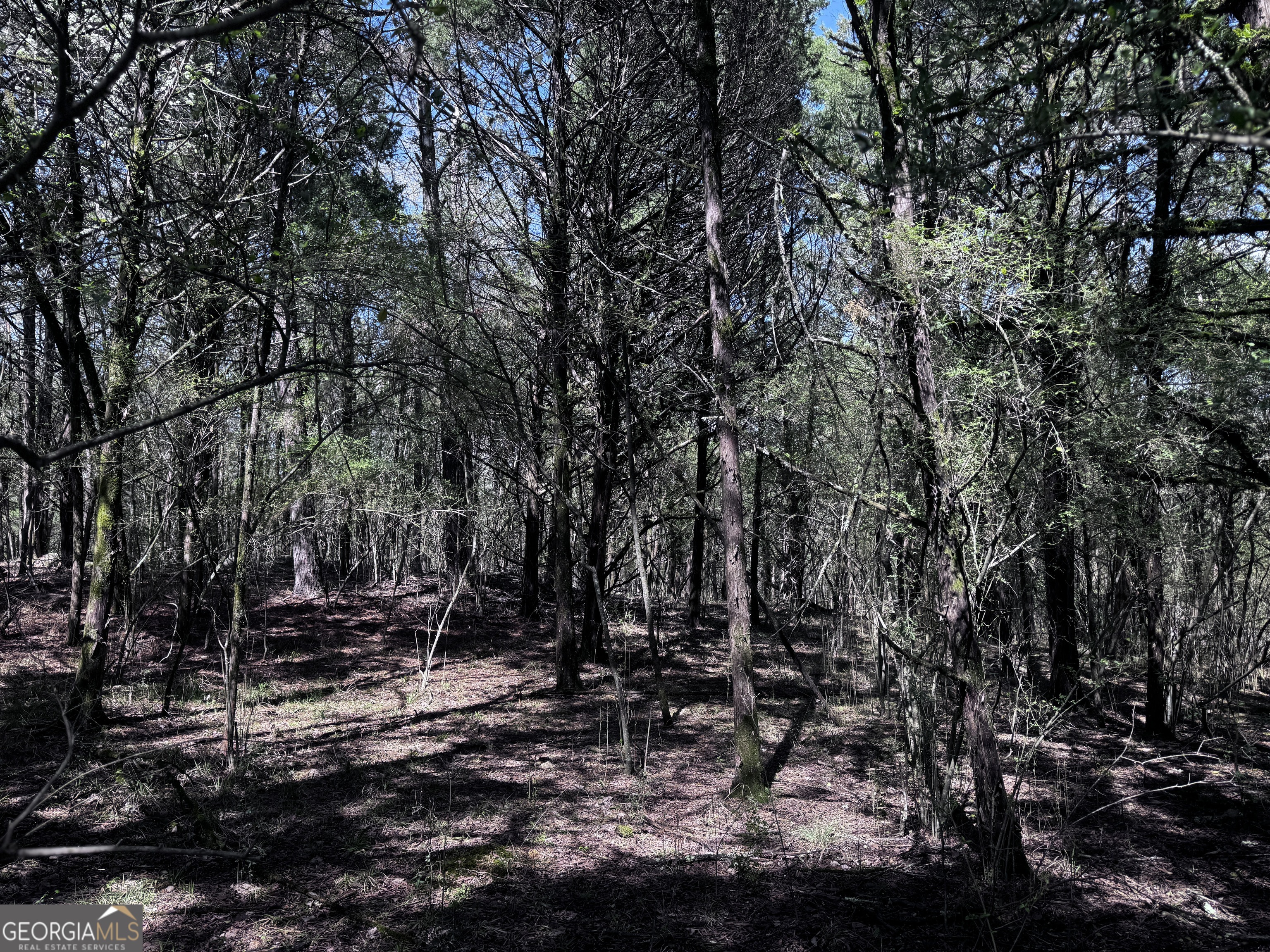 2782 Smith Road Fortson GA 31808