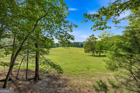 232 Sunburst Lane Clarkesville GA 30523