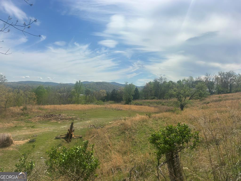 641 Windy Ridge Road Blue Ridge GA 30513