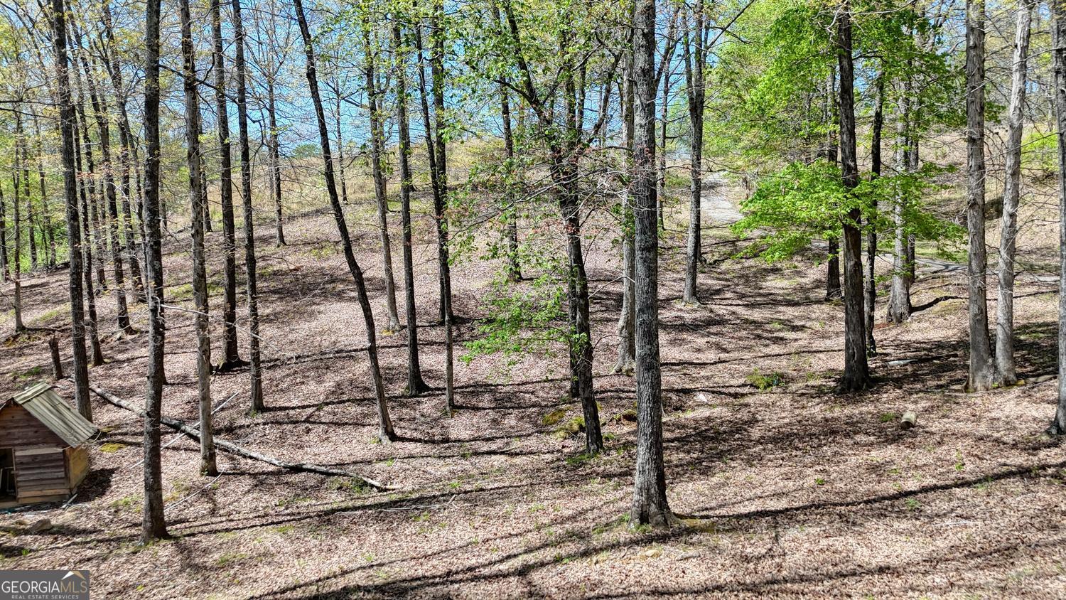 641 Windy Ridge Road Blue Ridge GA 30513