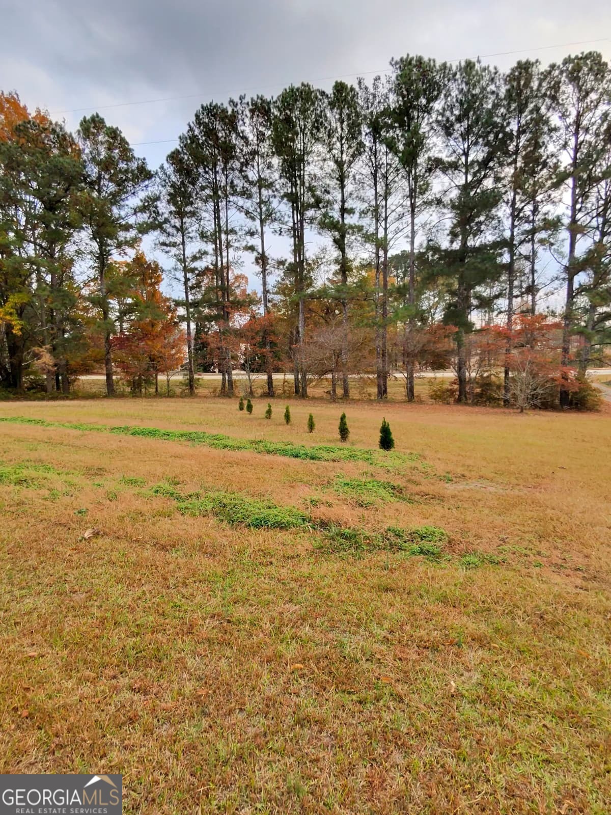 115 Frog Road Locust Grove GA 30248
