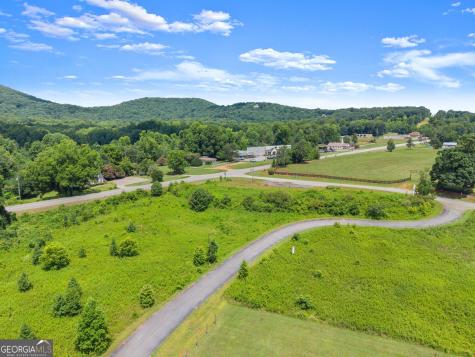 Lot 5 Whitehall Commercial Park Circle Cleveland GA 30528