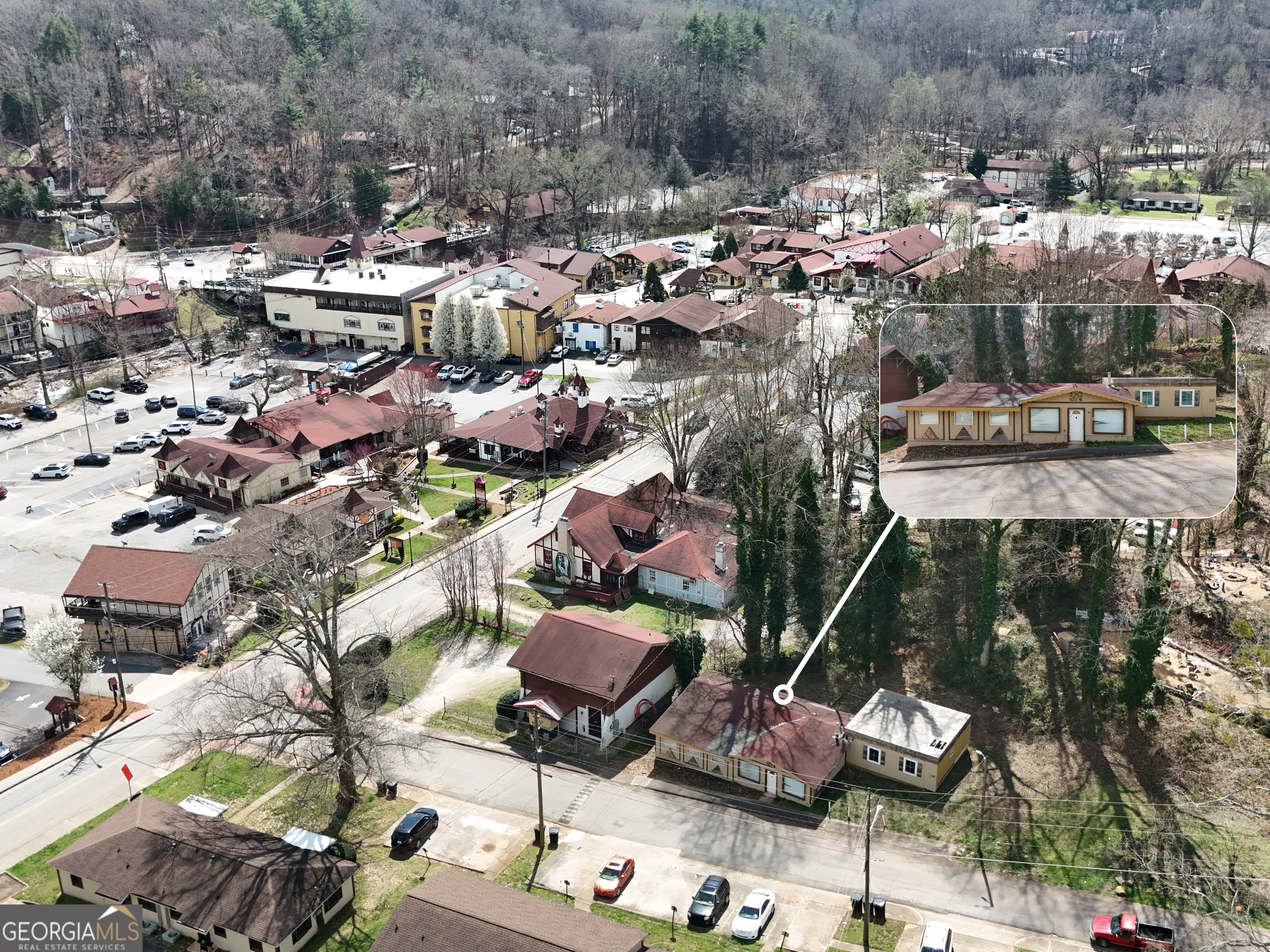31 Petes Park Road Helen GA 30545
