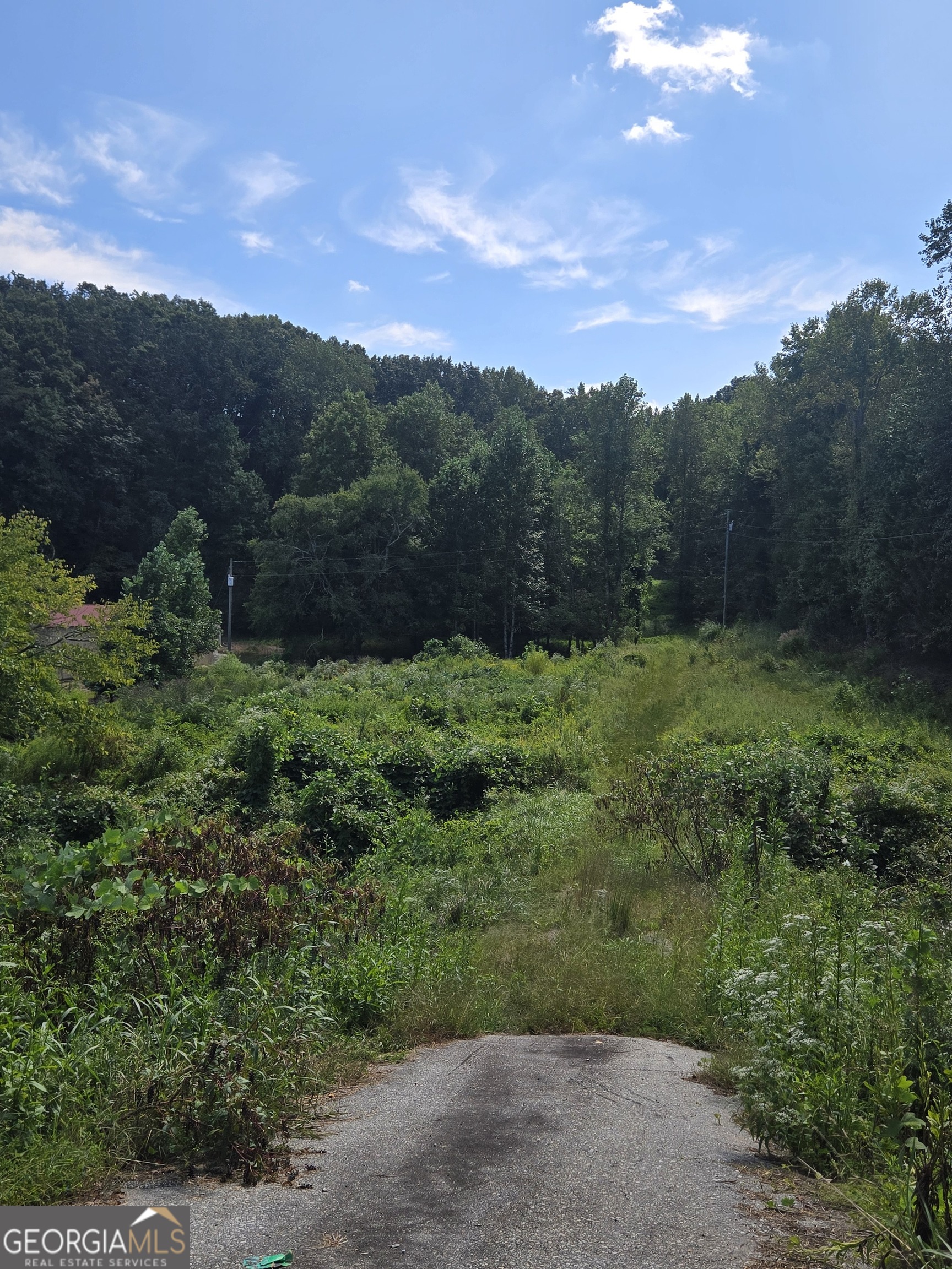 0 Highway 115 E Cleveland GA 30528