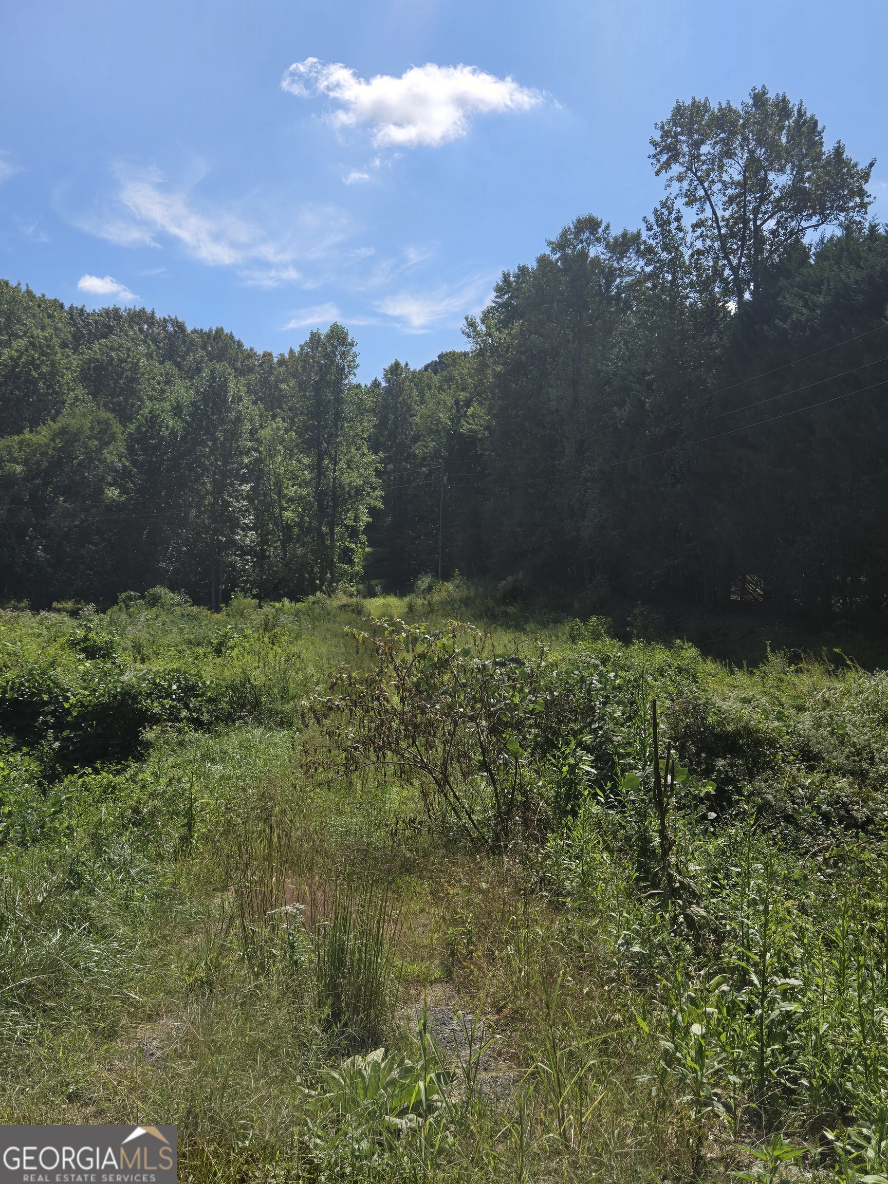 0 Highway 115 E Cleveland GA 30528