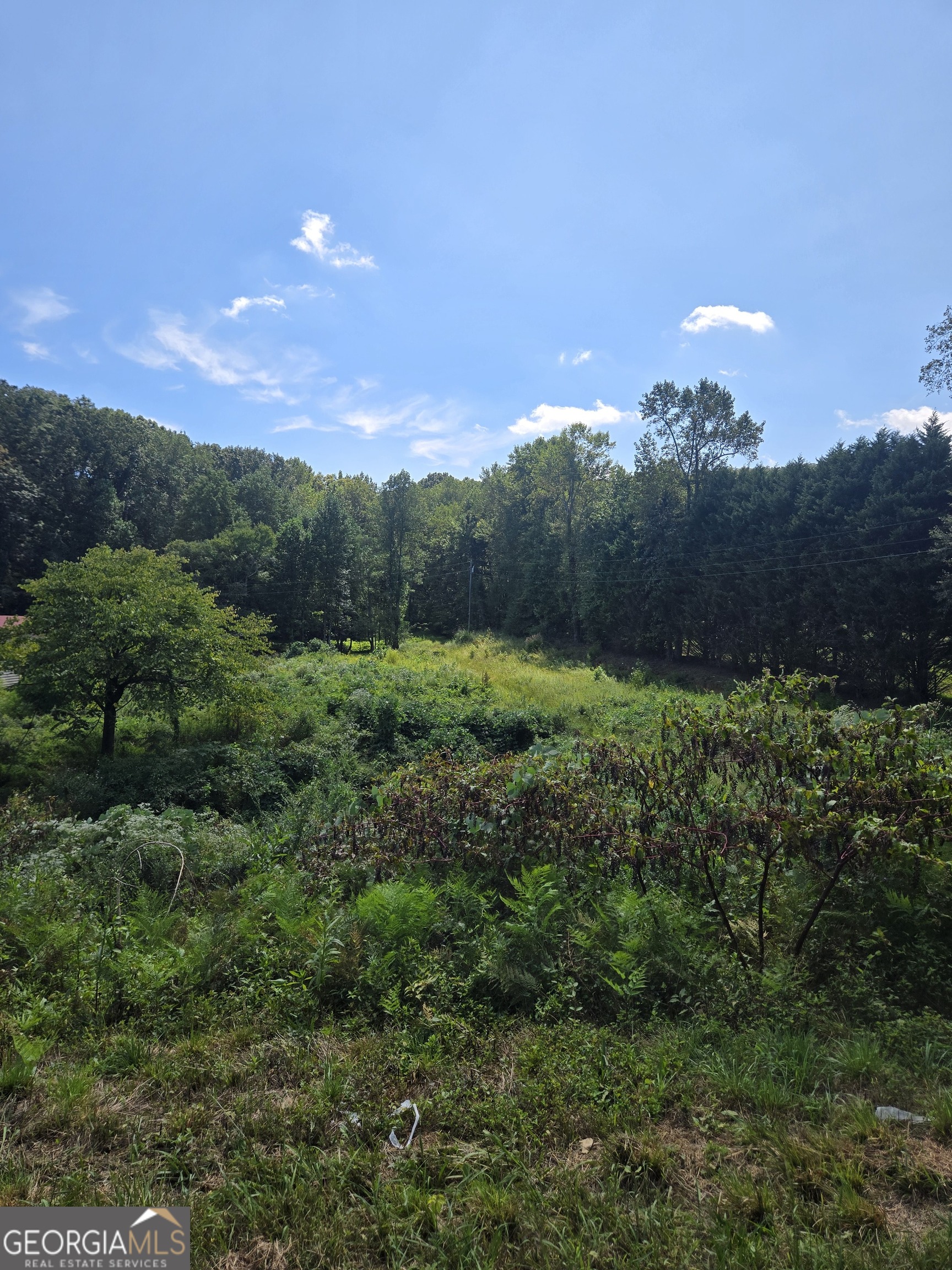 0 Highway 115 E Cleveland GA 30528