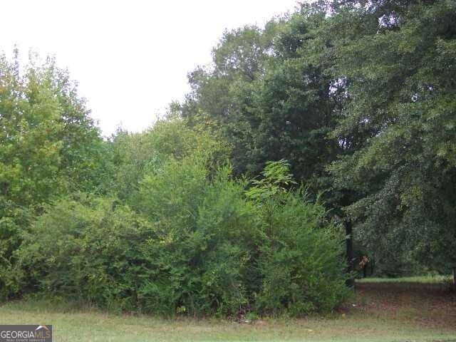 0 Rosebud Road Loganville GA 30052