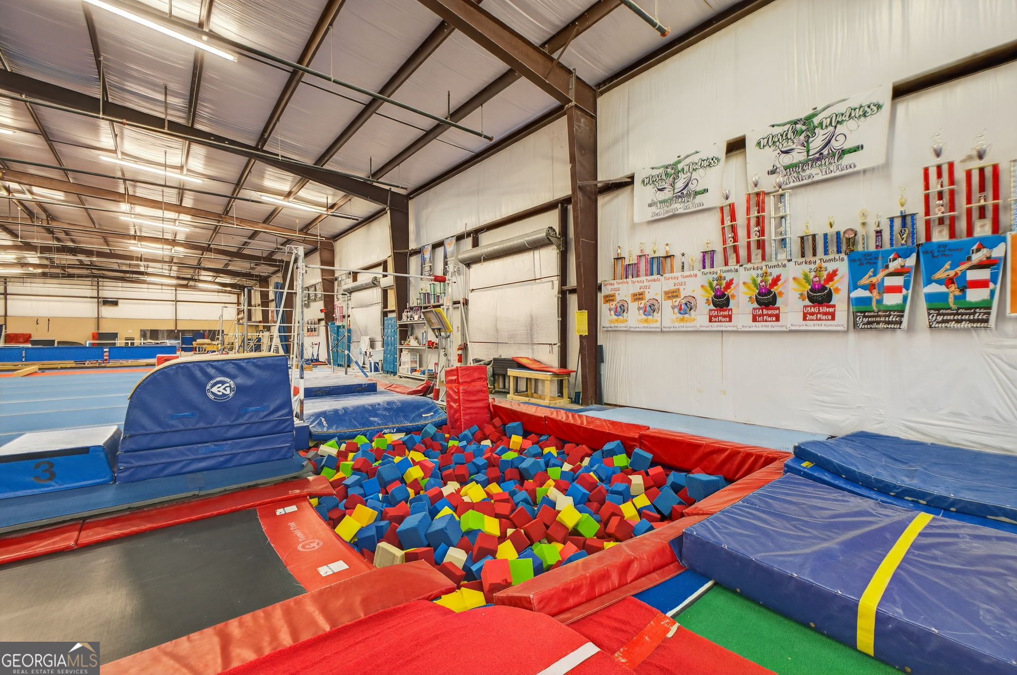 175 Kendra Drive Mcdonough GA 30253