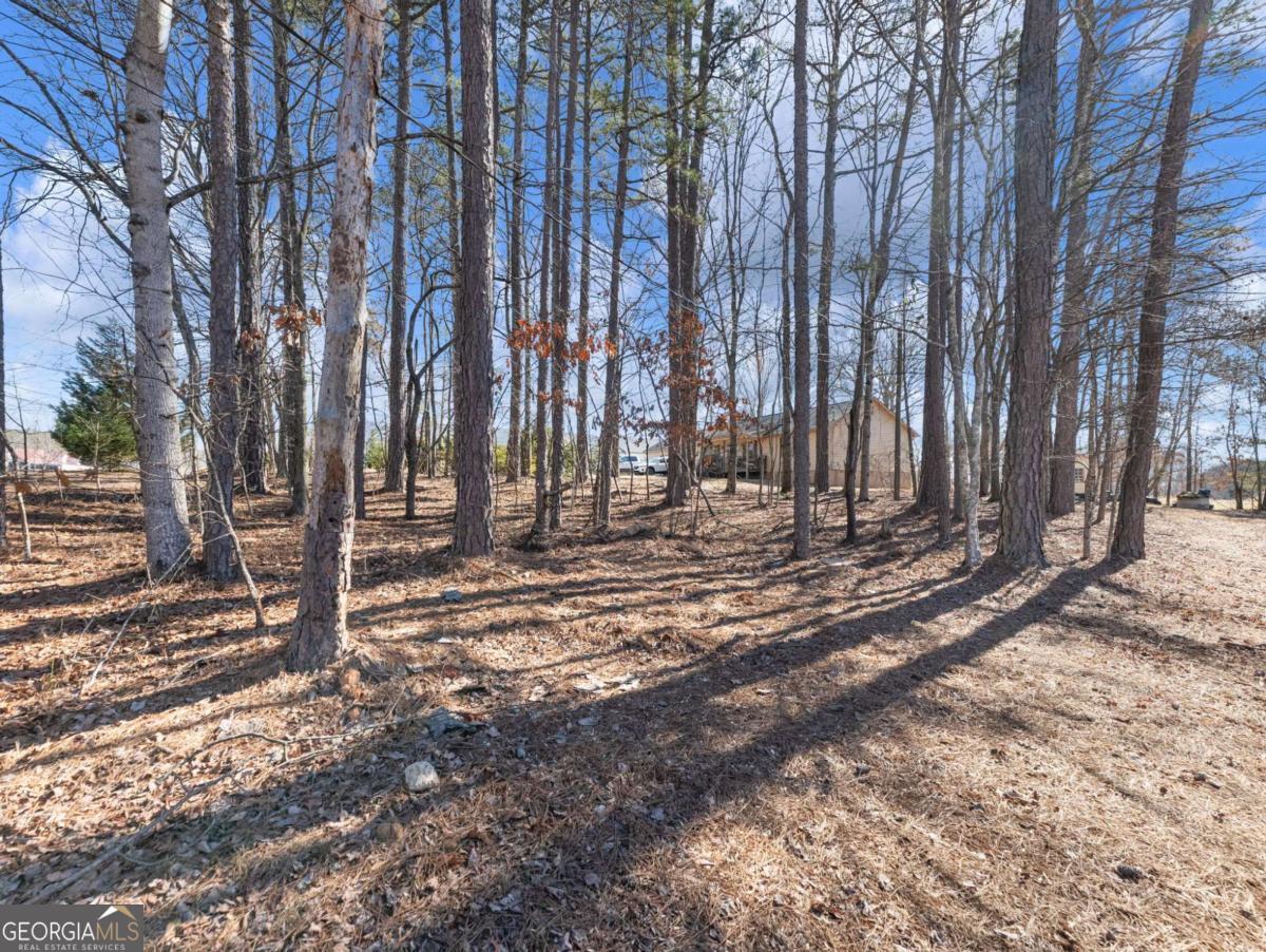 5539 Mcever Road Flowery Branch GA 30542