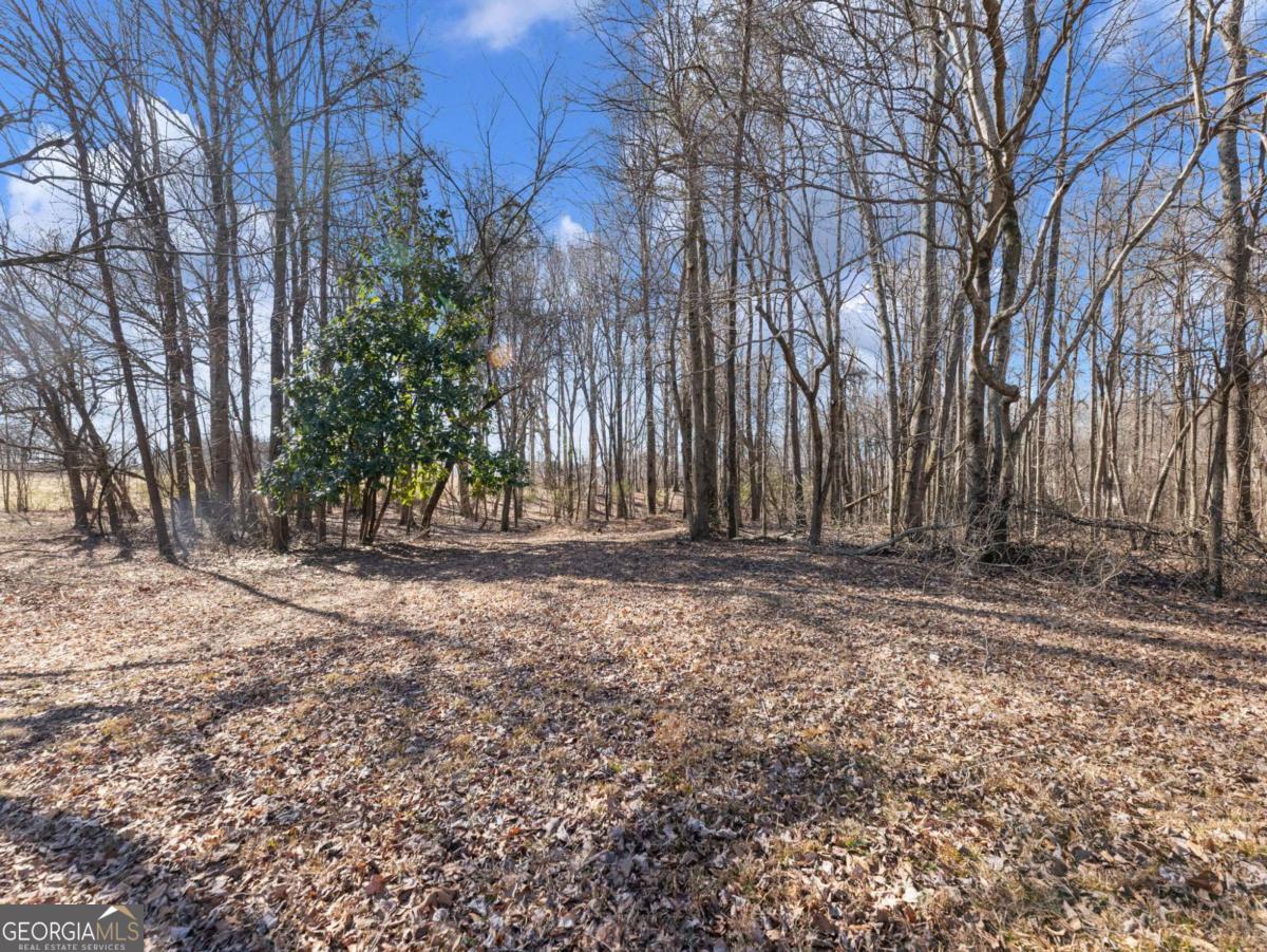 5539 Mcever Road Flowery Branch GA 30542