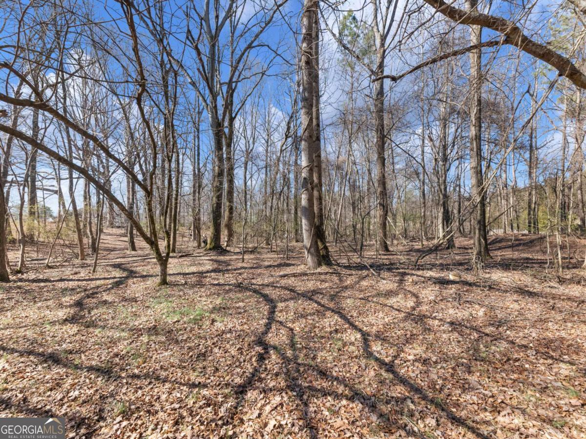 5539 Mcever Road Flowery Branch GA 30542