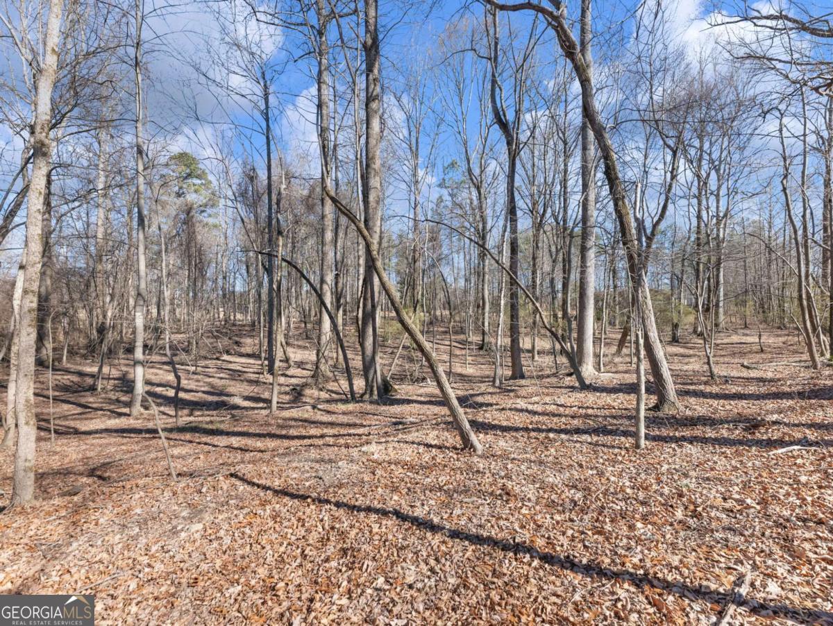 5539 Mcever Road Flowery Branch GA 30542