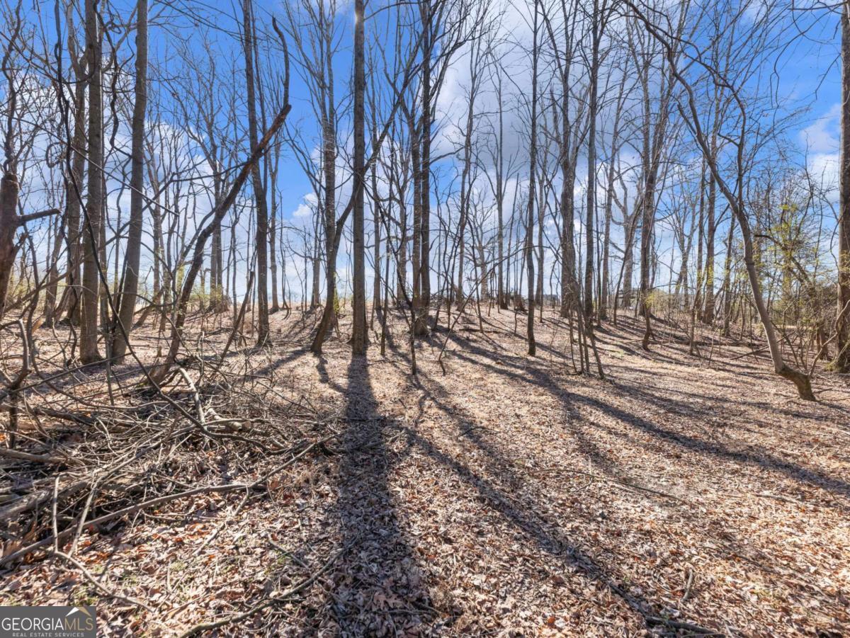 5539 Mcever Road Flowery Branch GA 30542