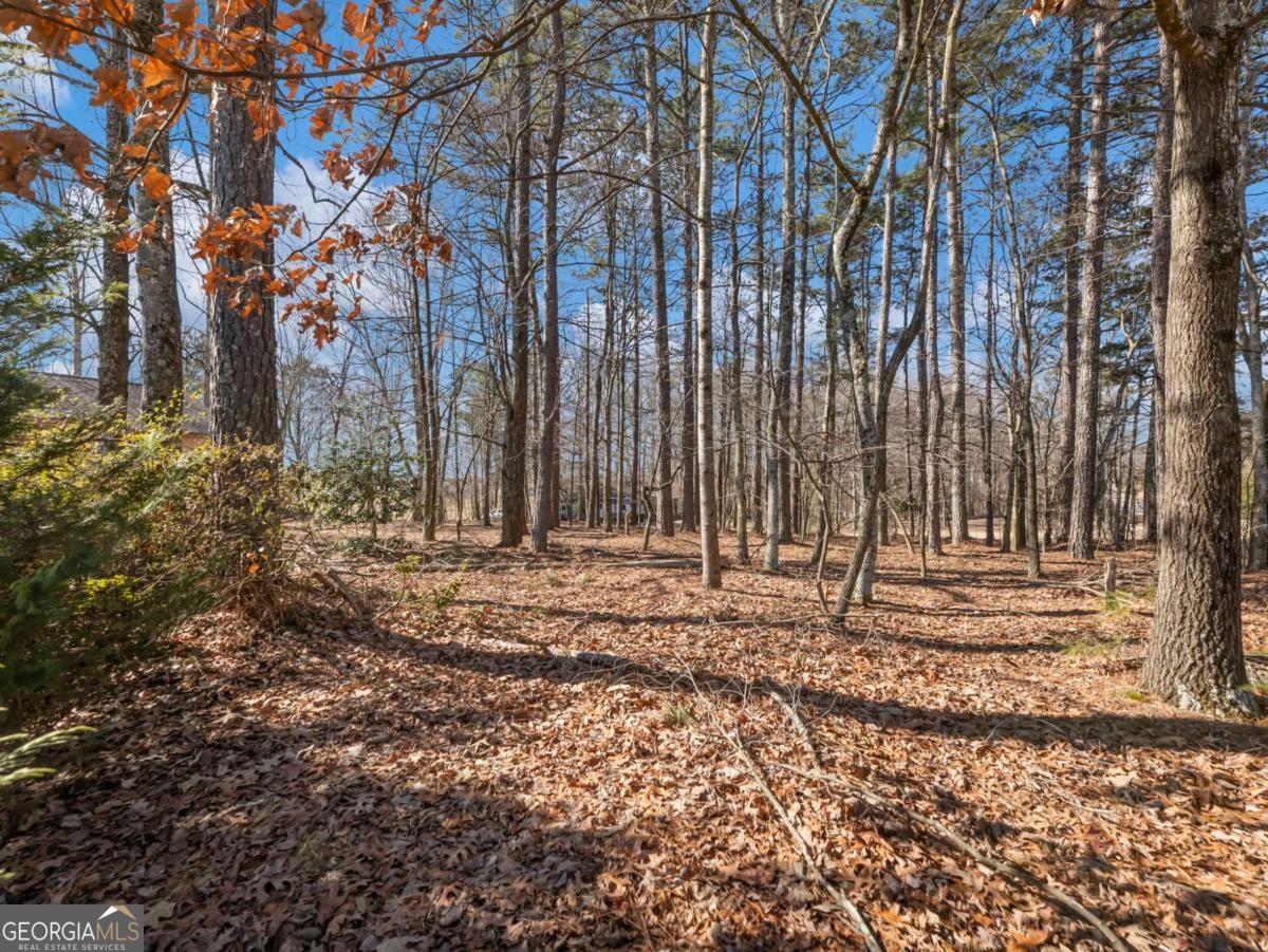 5539 Mcever Road Flowery Branch GA 30542