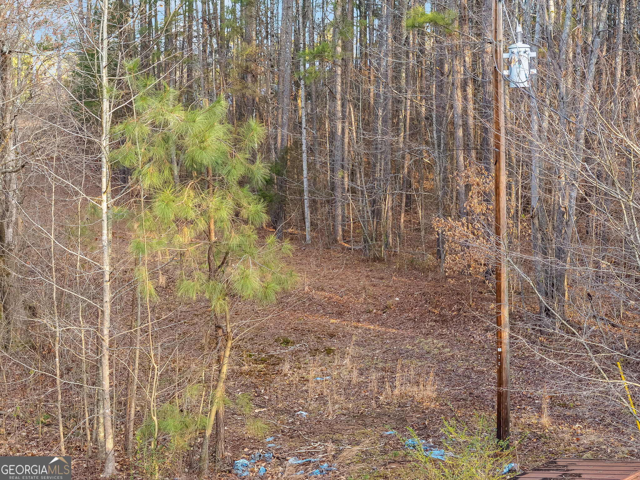 1162 E Highway 78 Temple GA 30179