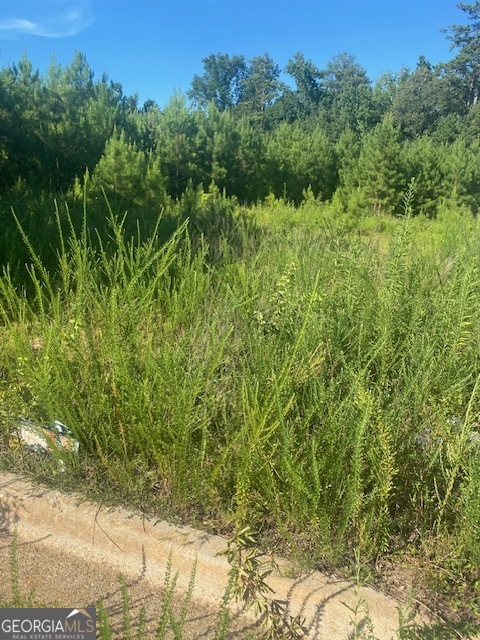 0 SE Northlake Drive Conyers GA 30013