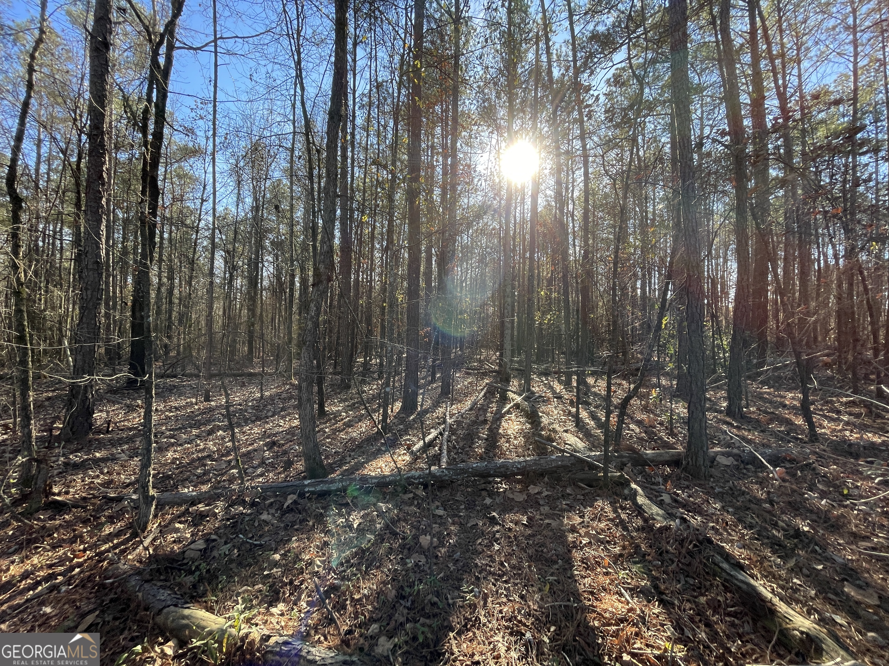 0 S Highway 81 Covington GA 30016