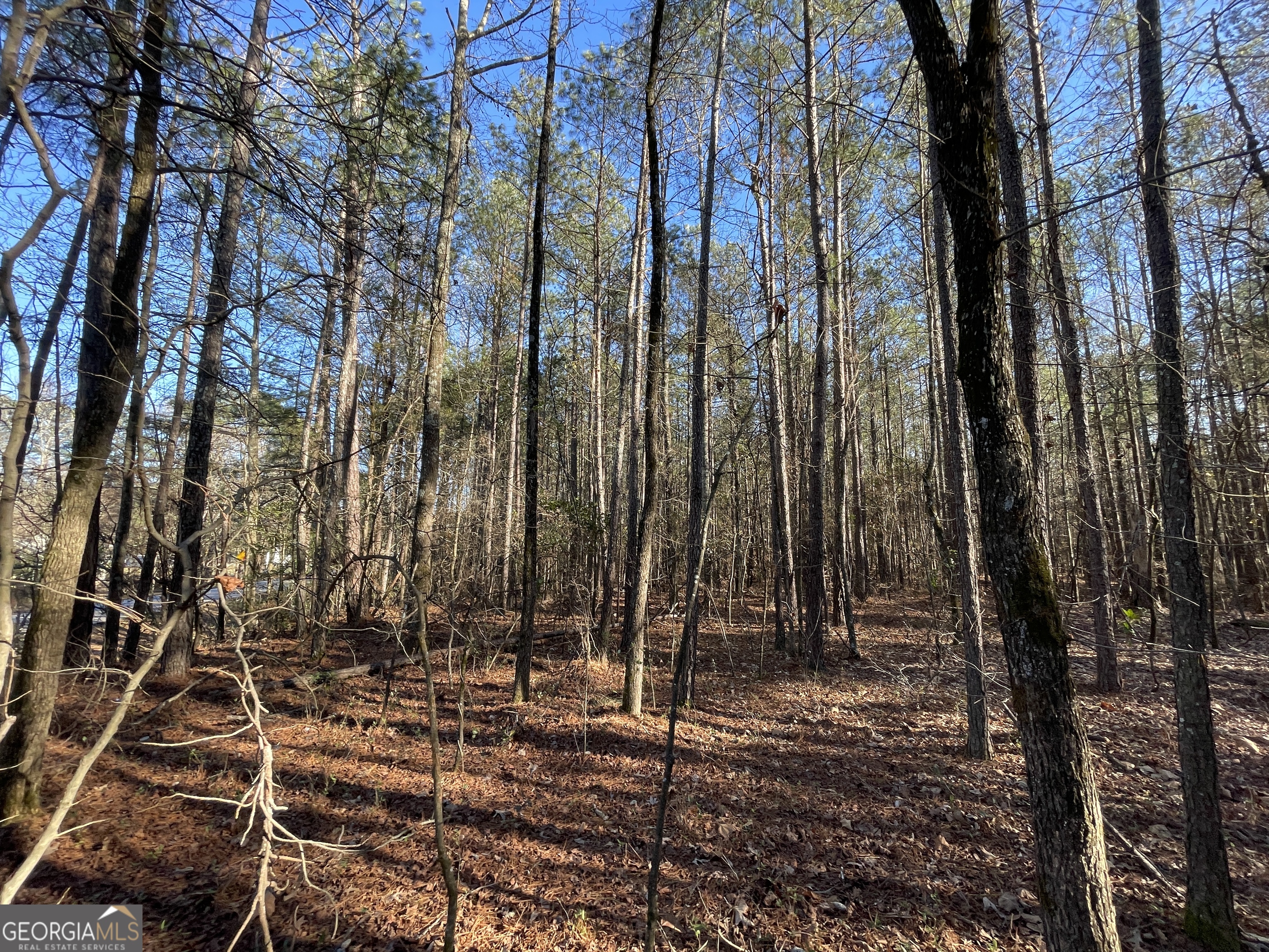0 S Highway 81 Covington GA 30016
