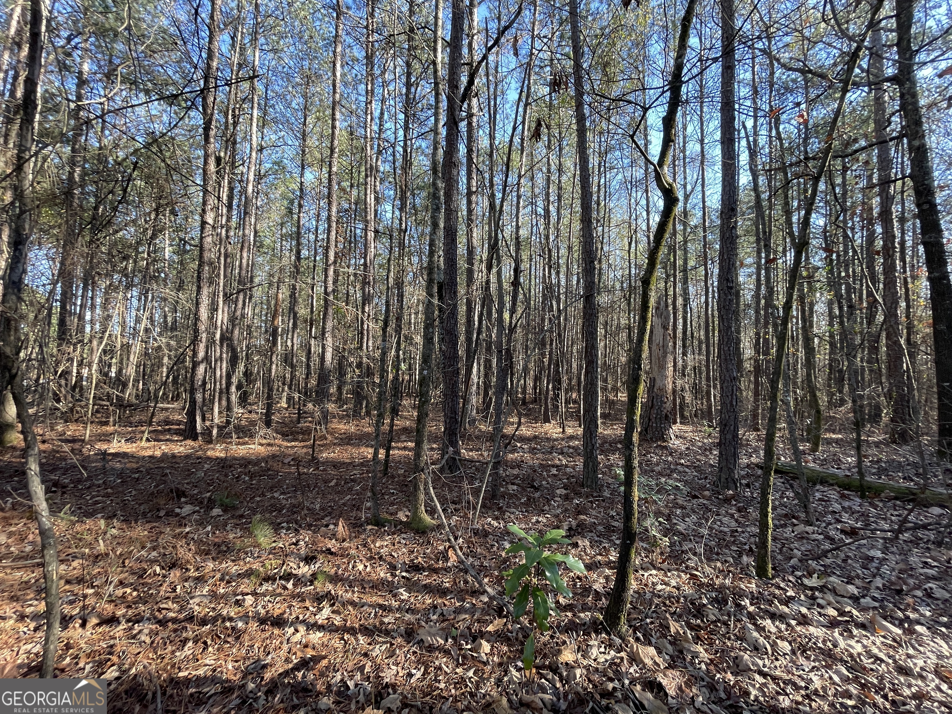 0 S Highway 81 Covington GA 30016