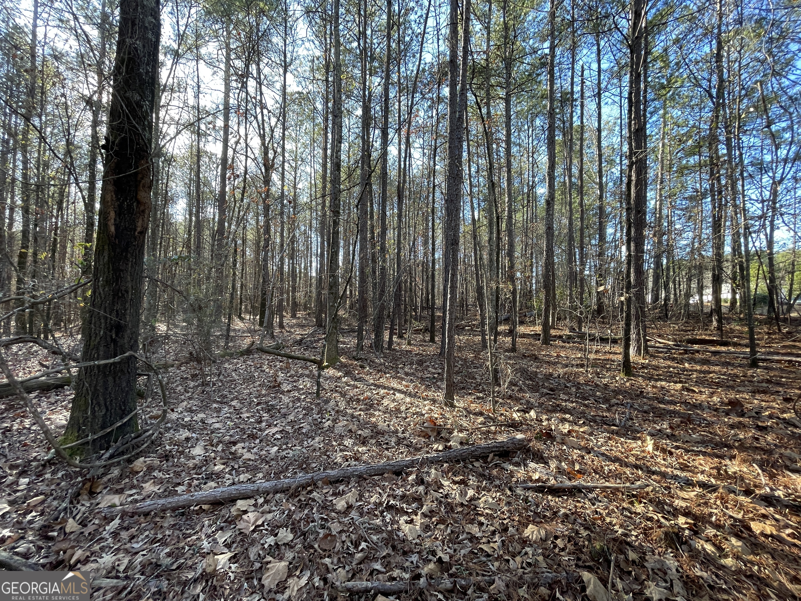 0 S Highway 81 Covington GA 30016
