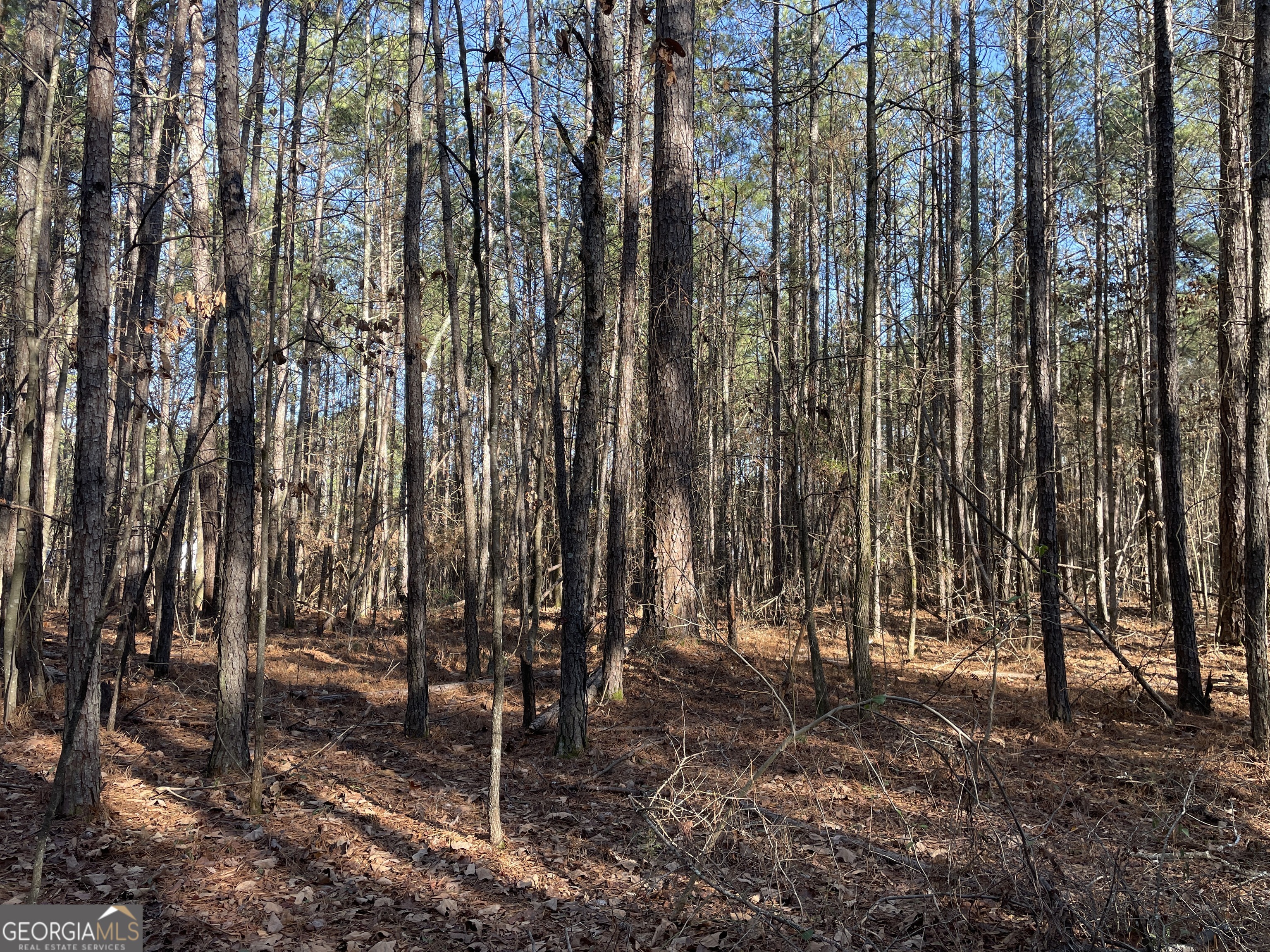 0 S Highway 81 Covington GA 30016