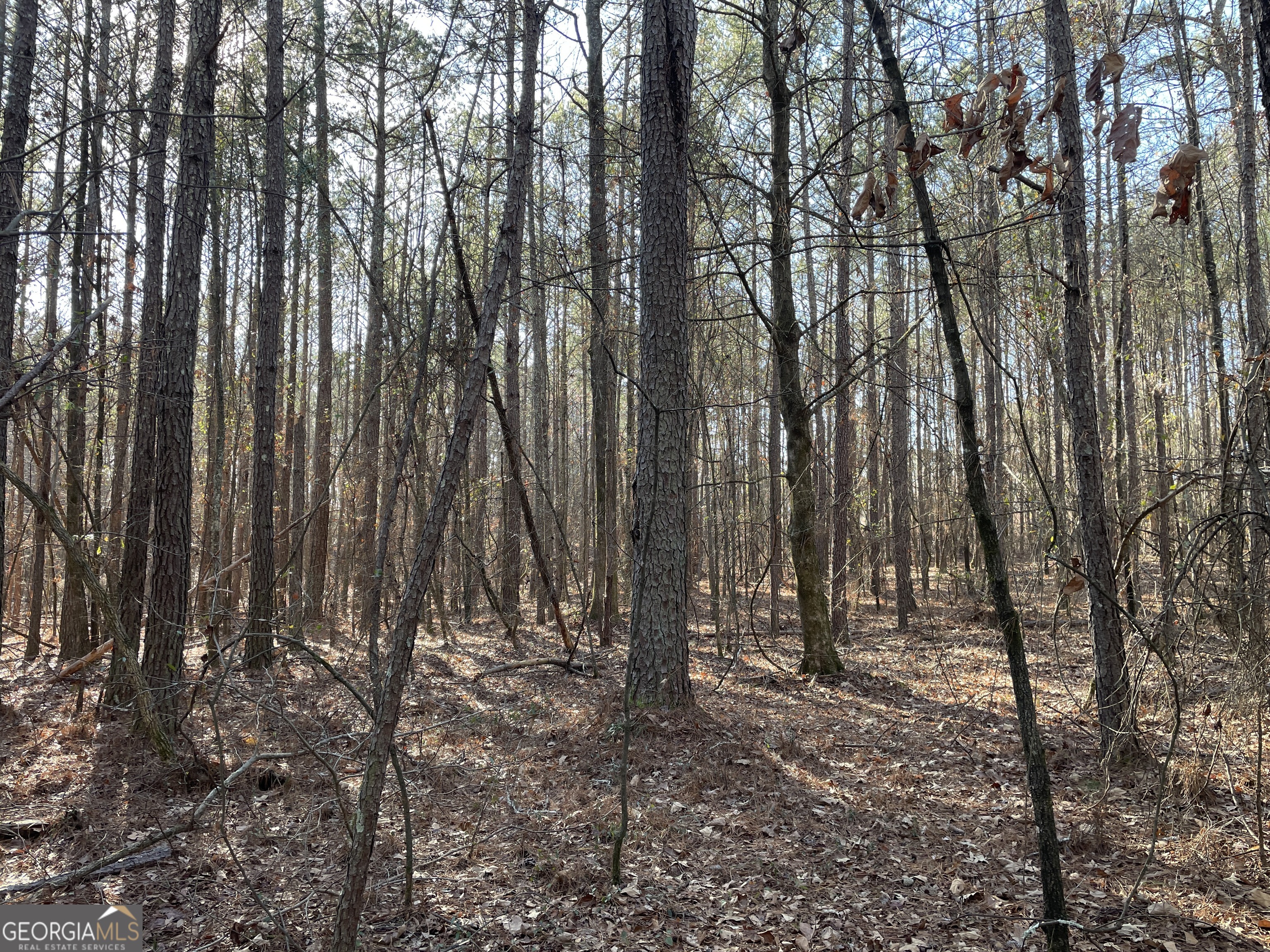 0 S Highway 81 Covington GA 30016